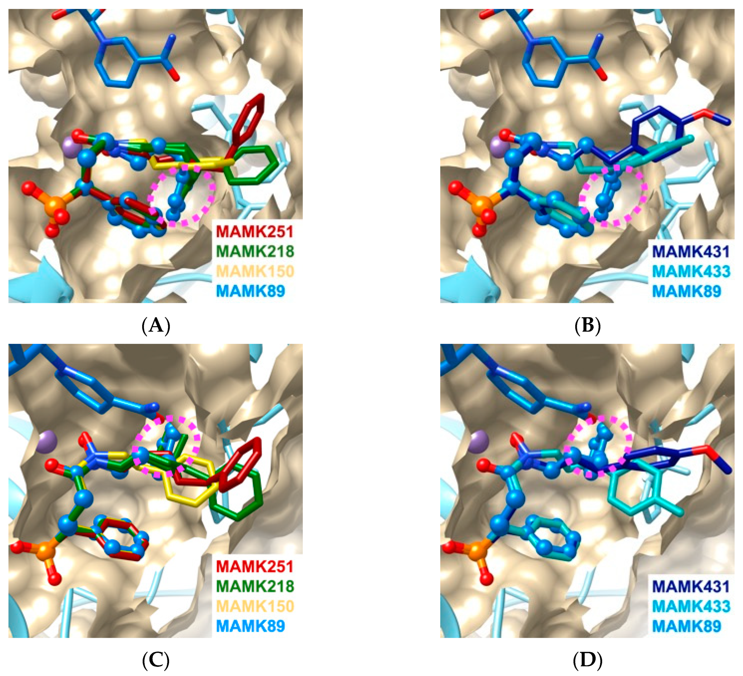 ニューメリカルレシピ・イン・シー The Diverse Binding Modes Explain the Nanomolar Levels of
