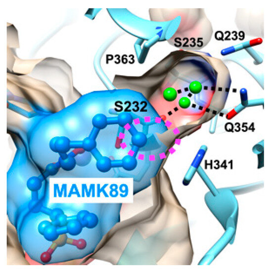 ニューメリカルレシピ・イン・シー 注目アイテム】INX.label”ガリンペイロ”に NEWラインナック