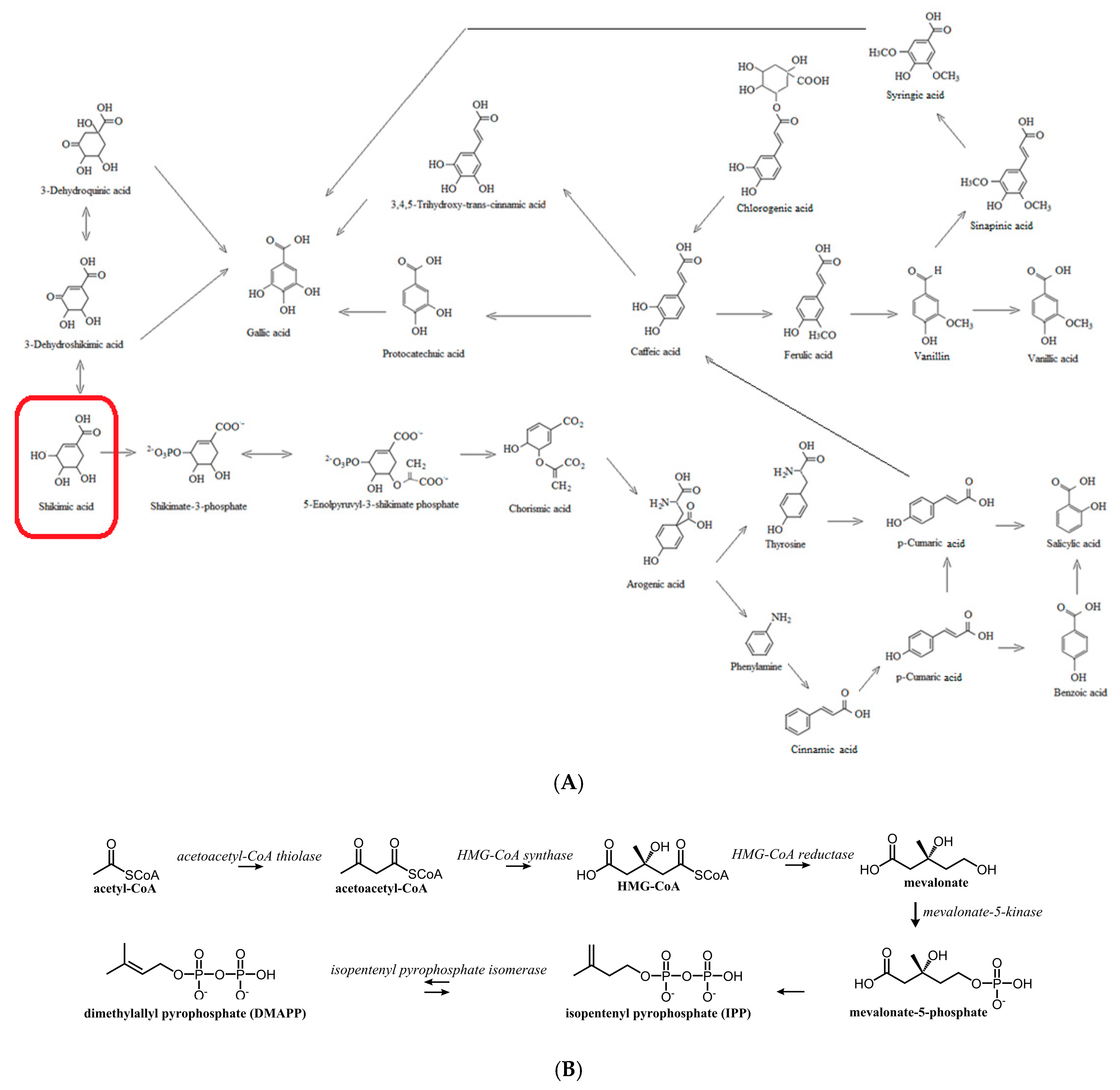Molecules 30 00073 g002