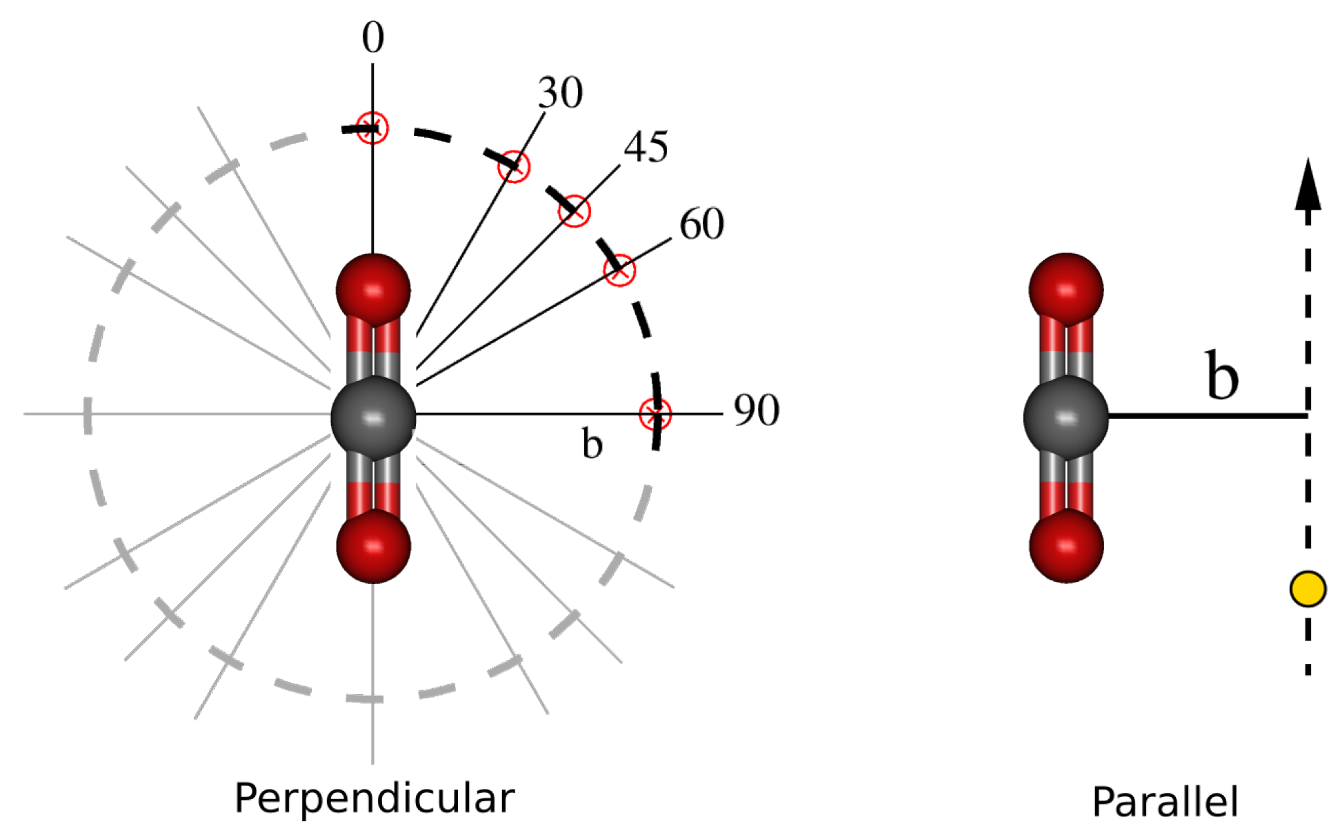 Molecules 30 00074 g009