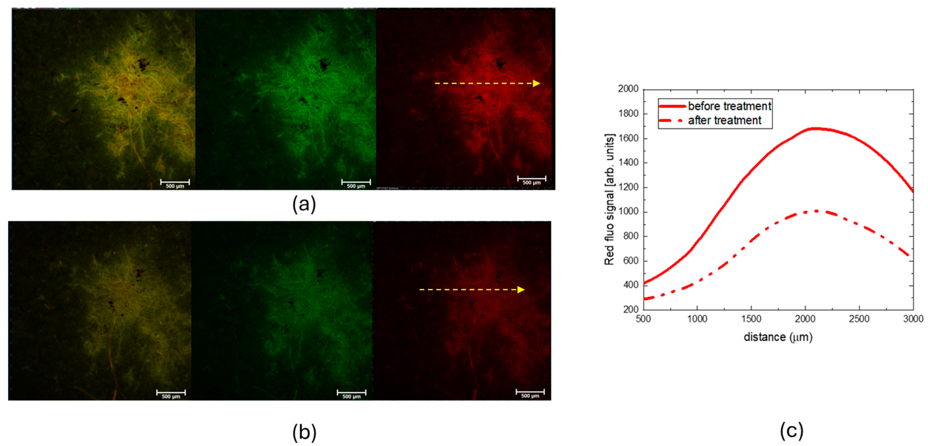 Molecules 30 00075 g004