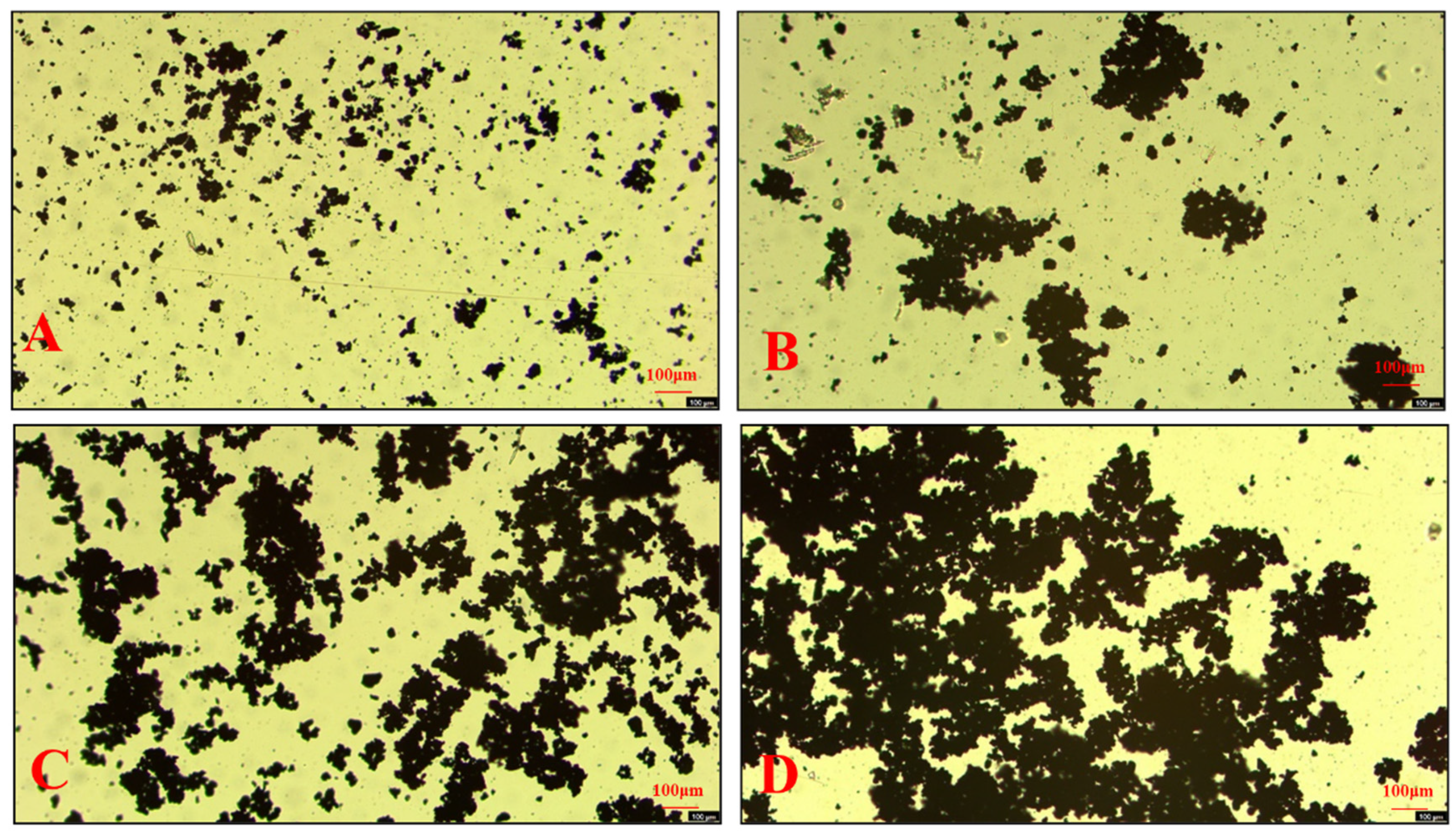 Molecules 30 00079 g011