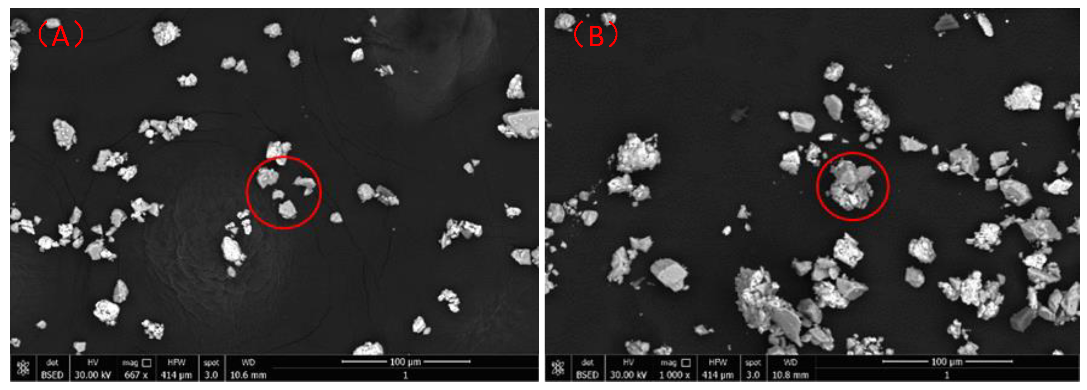 Molecules 30 00079 g012