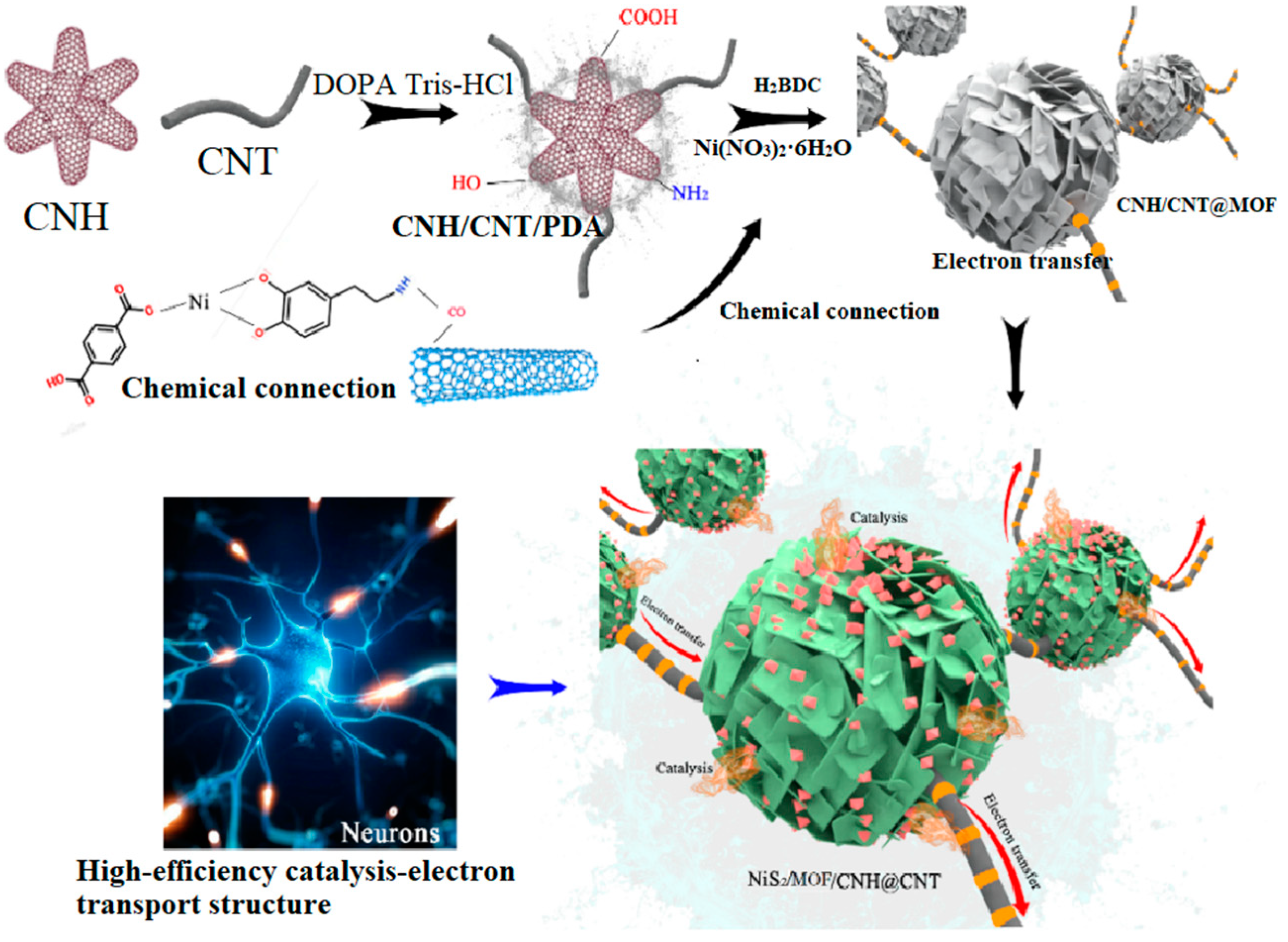 Molecules 30 00080 sch001