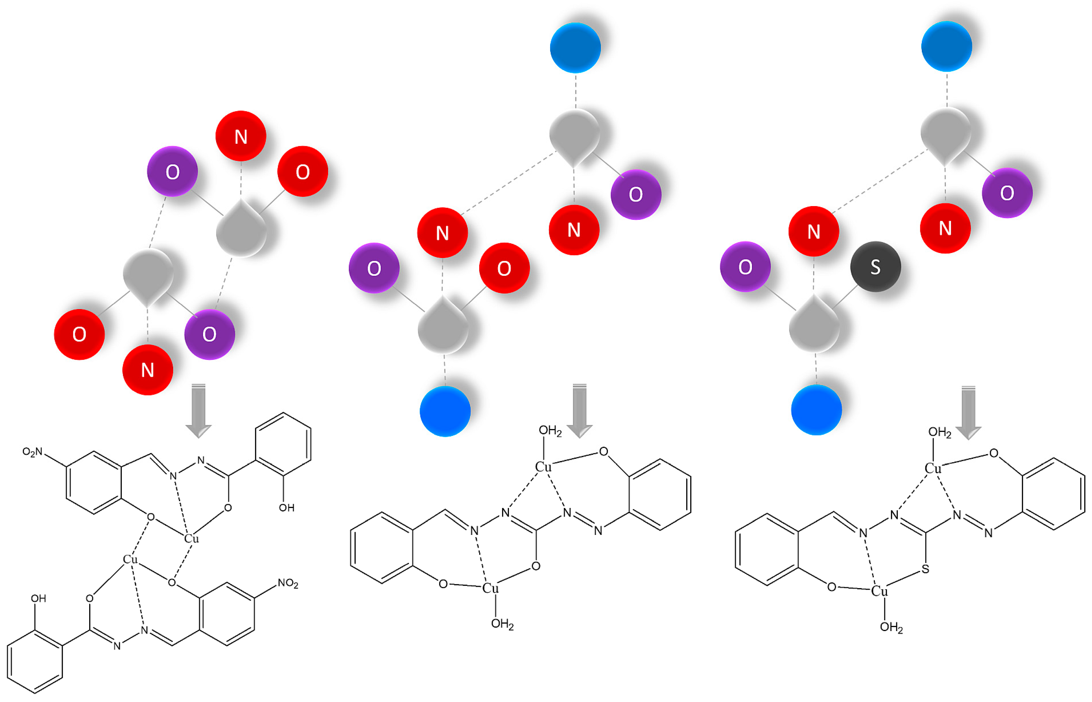 Molecules 30 00082 sch002