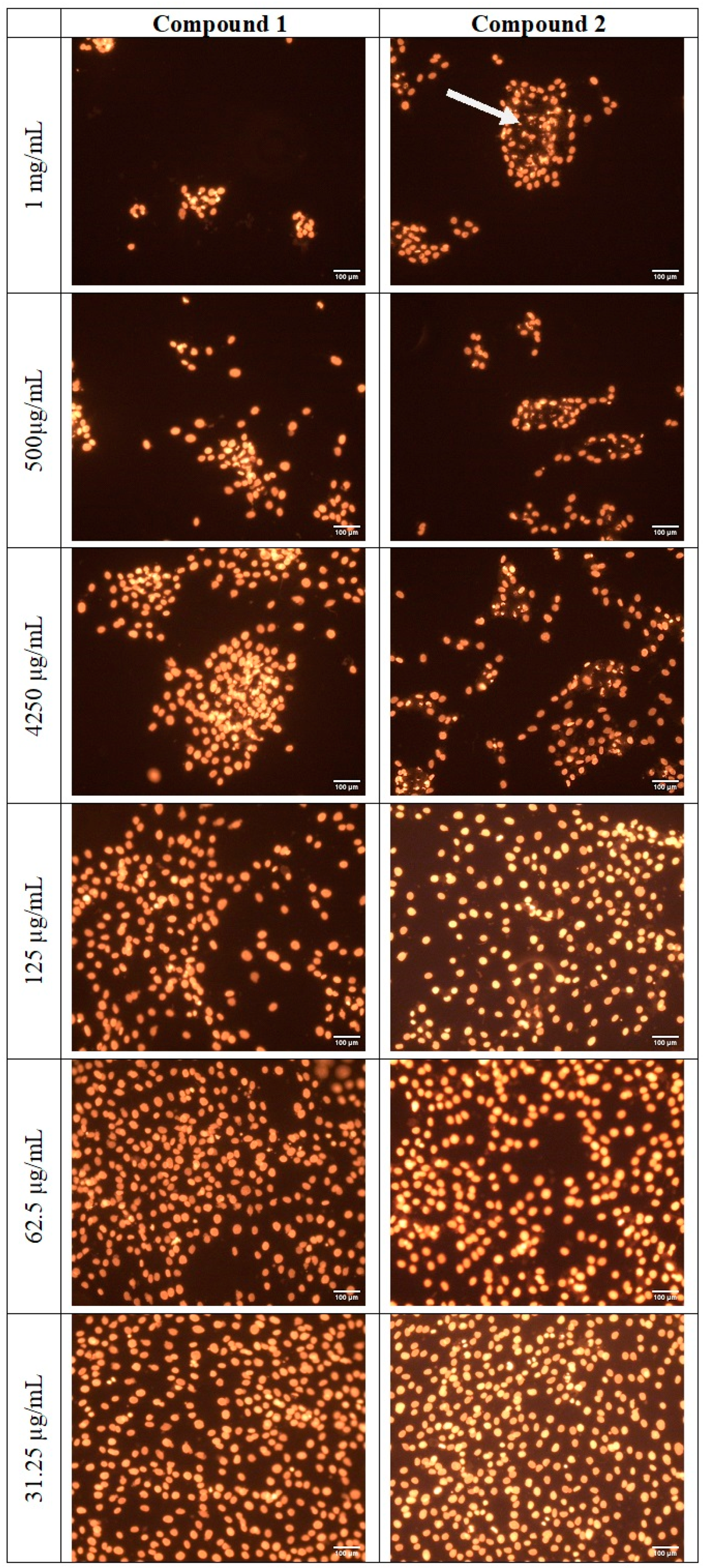 Molecules 30 00083 g017