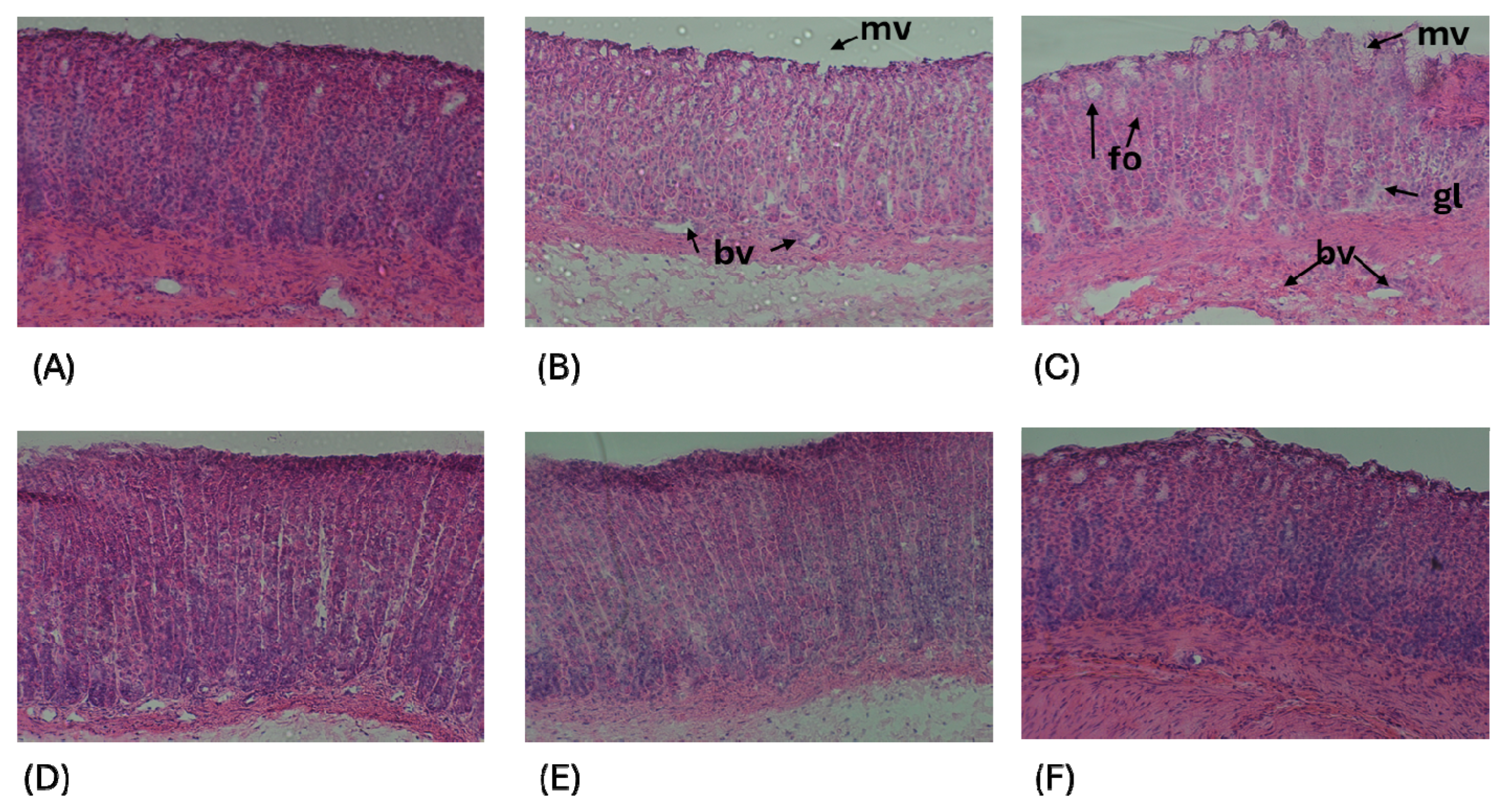 Molecules 30 00086 g005