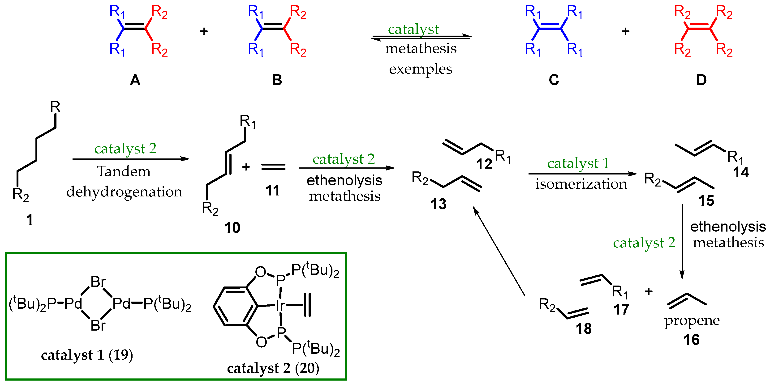 Molecules 30 00087 sch001