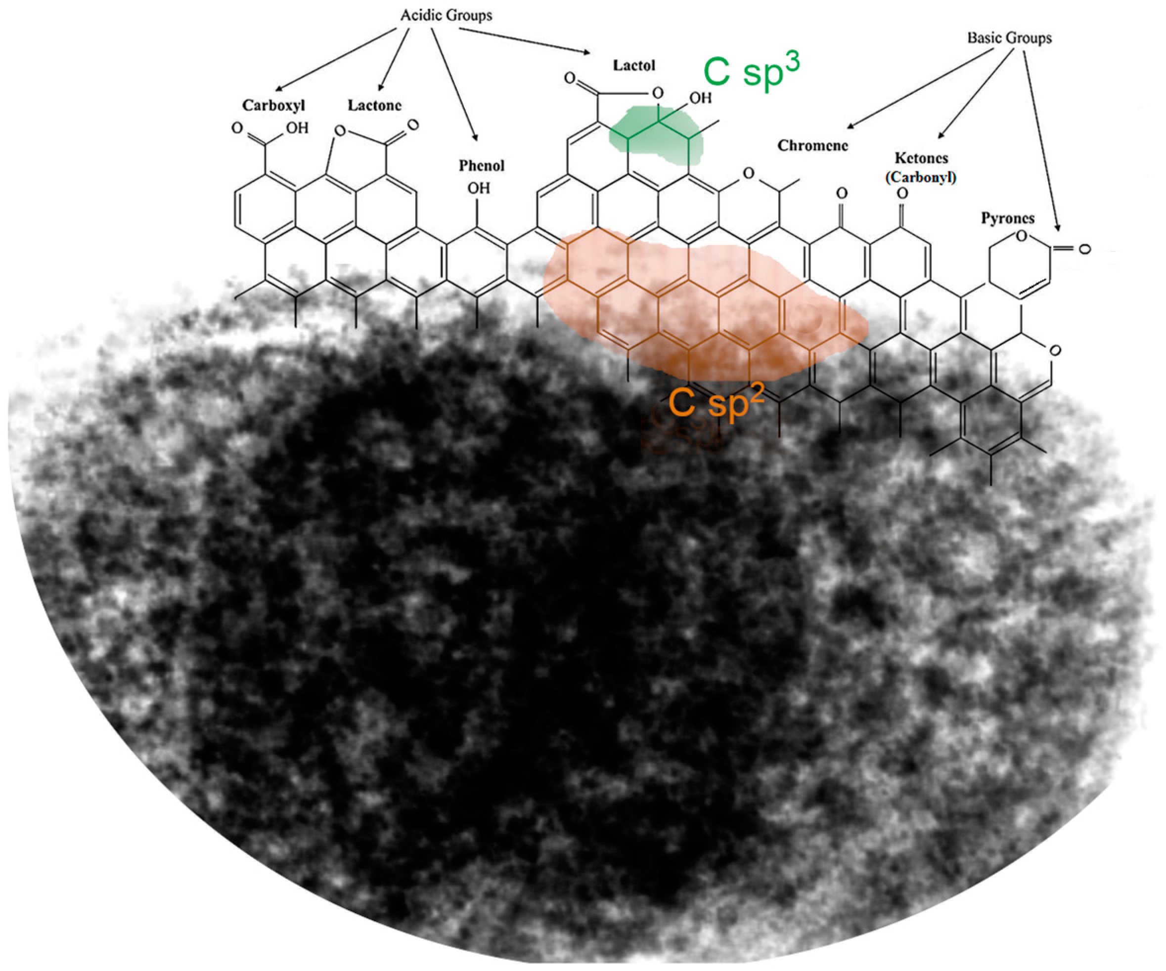 Molecules 30 00088 g004 Molecules 30 00088 g004