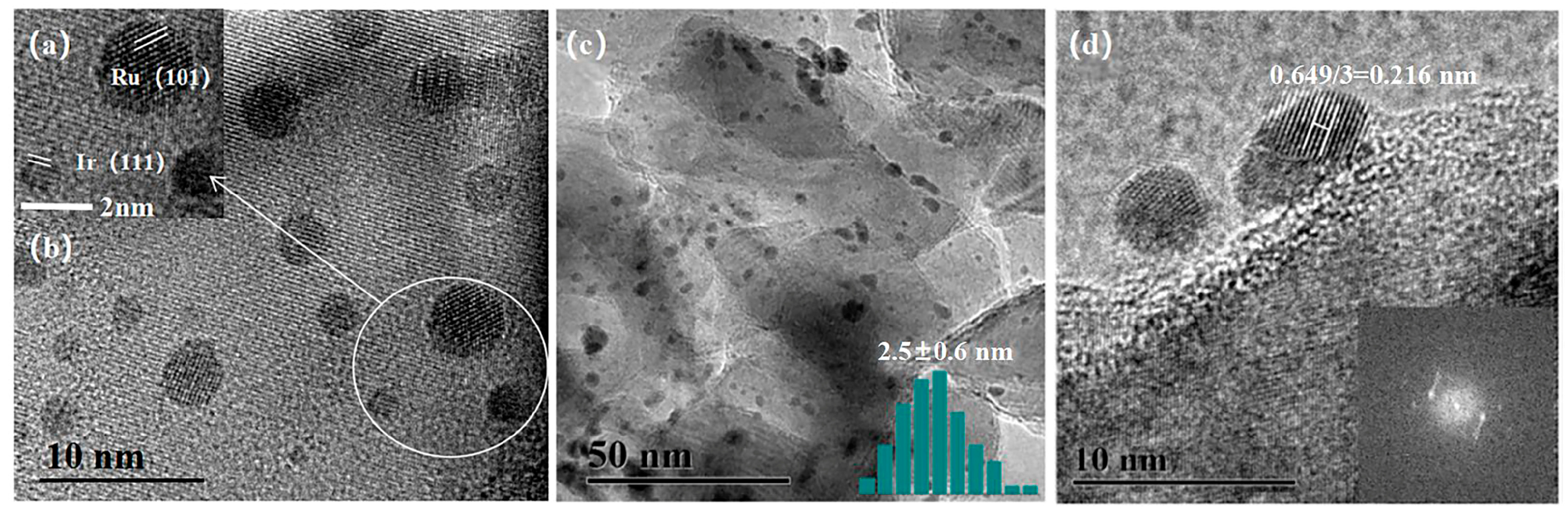 Molecules 30 00093 g002