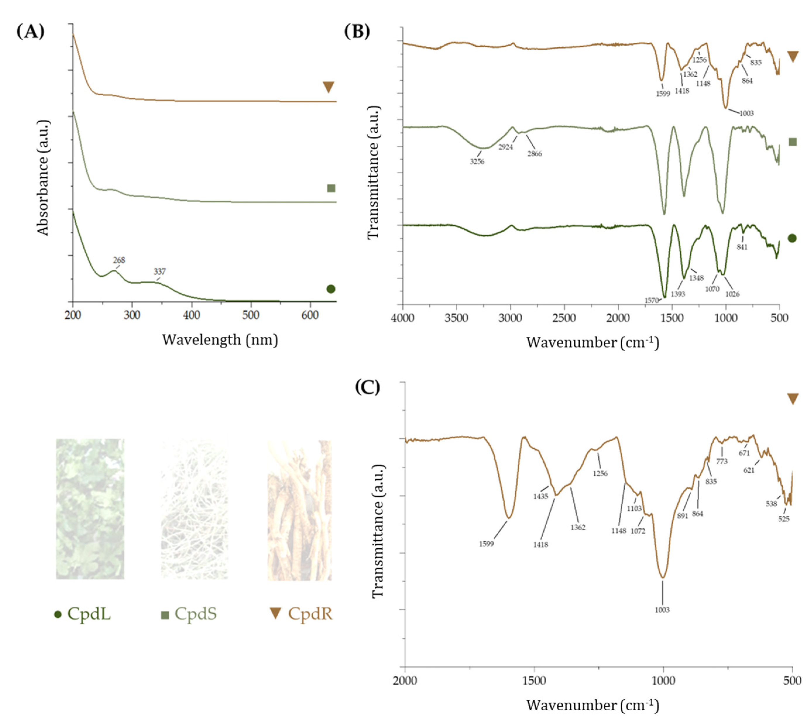 Molecules 30 00098 g002