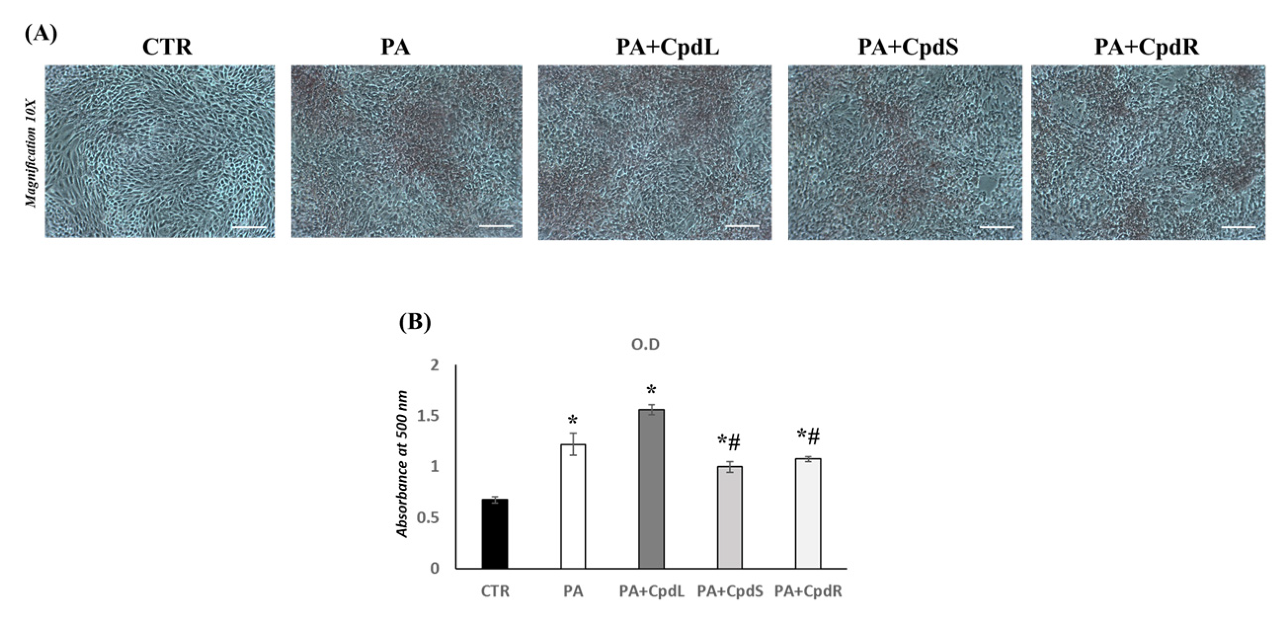 Molecules 30 00098 g005