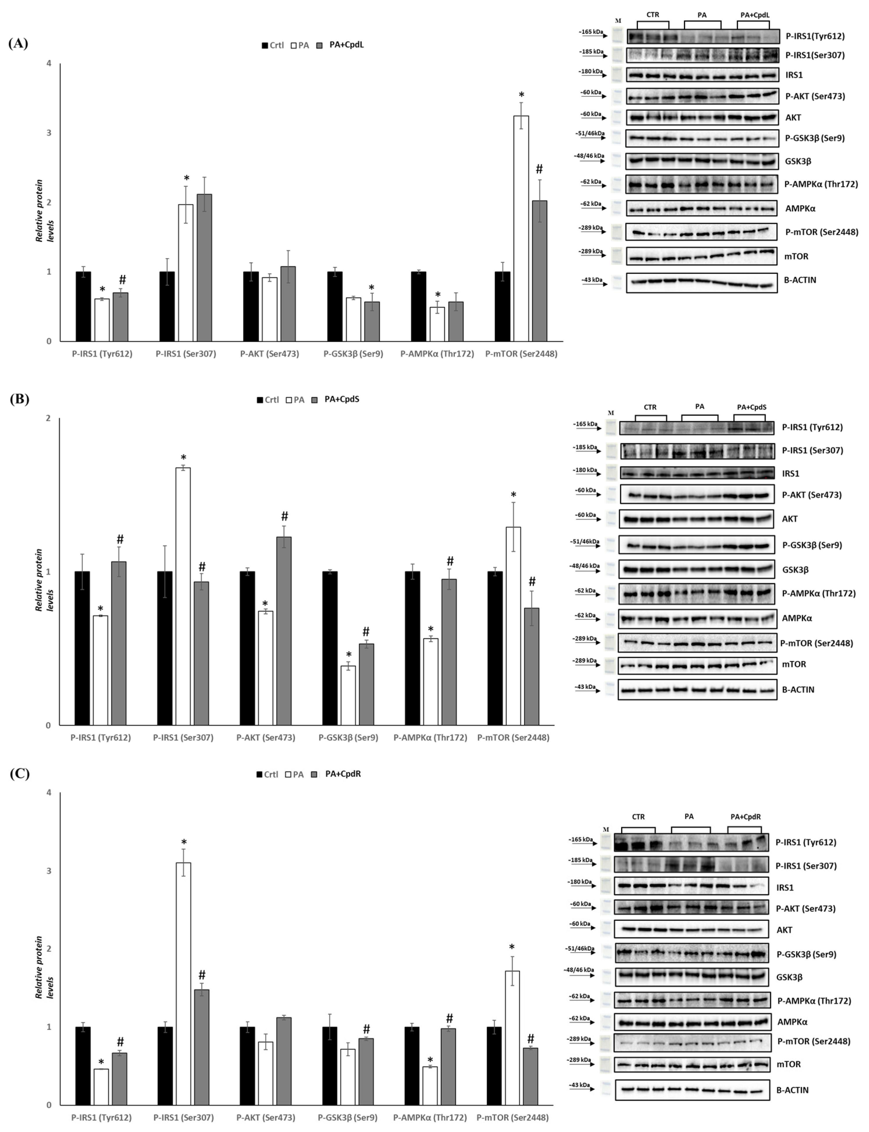 Molecules 30 00098 g006