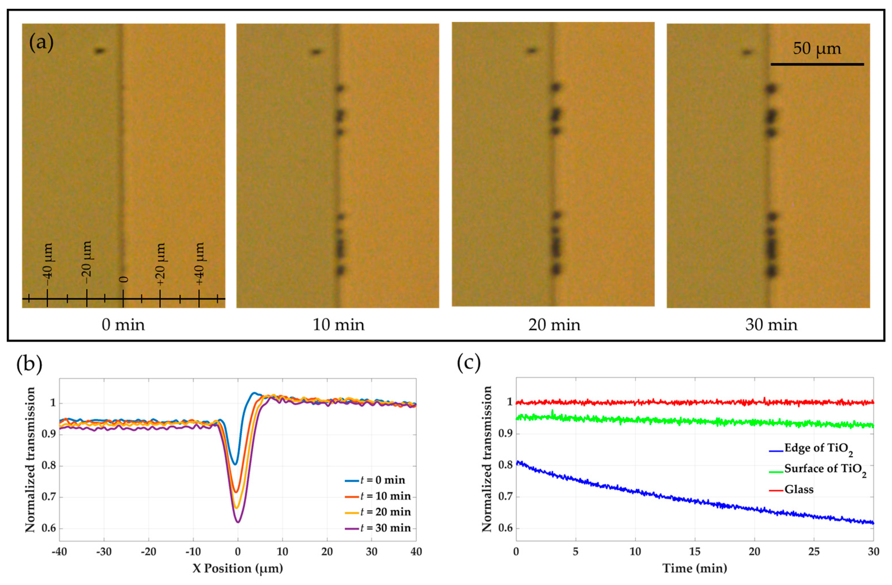 Molecules 30 00099 g002