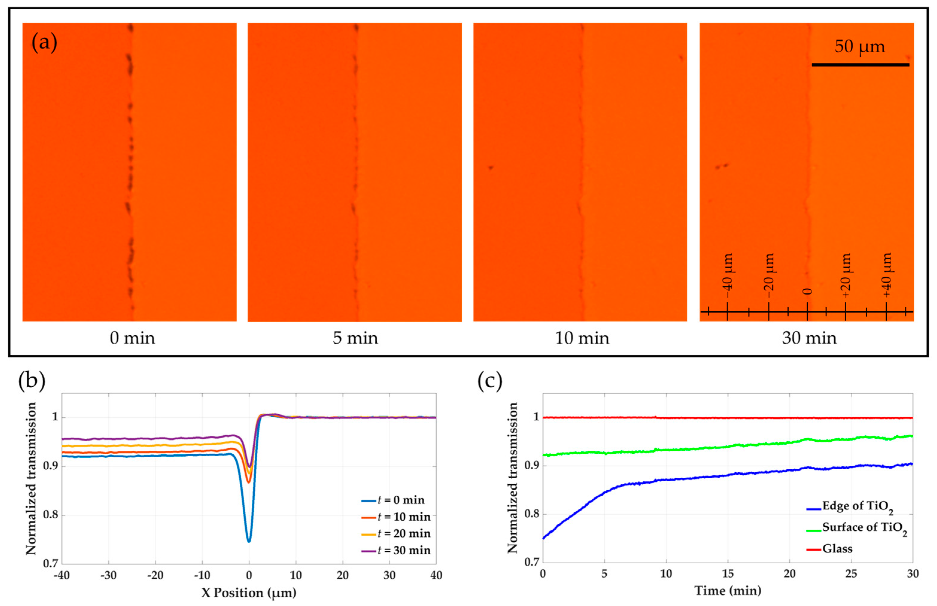 Molecules 30 00099 g003
