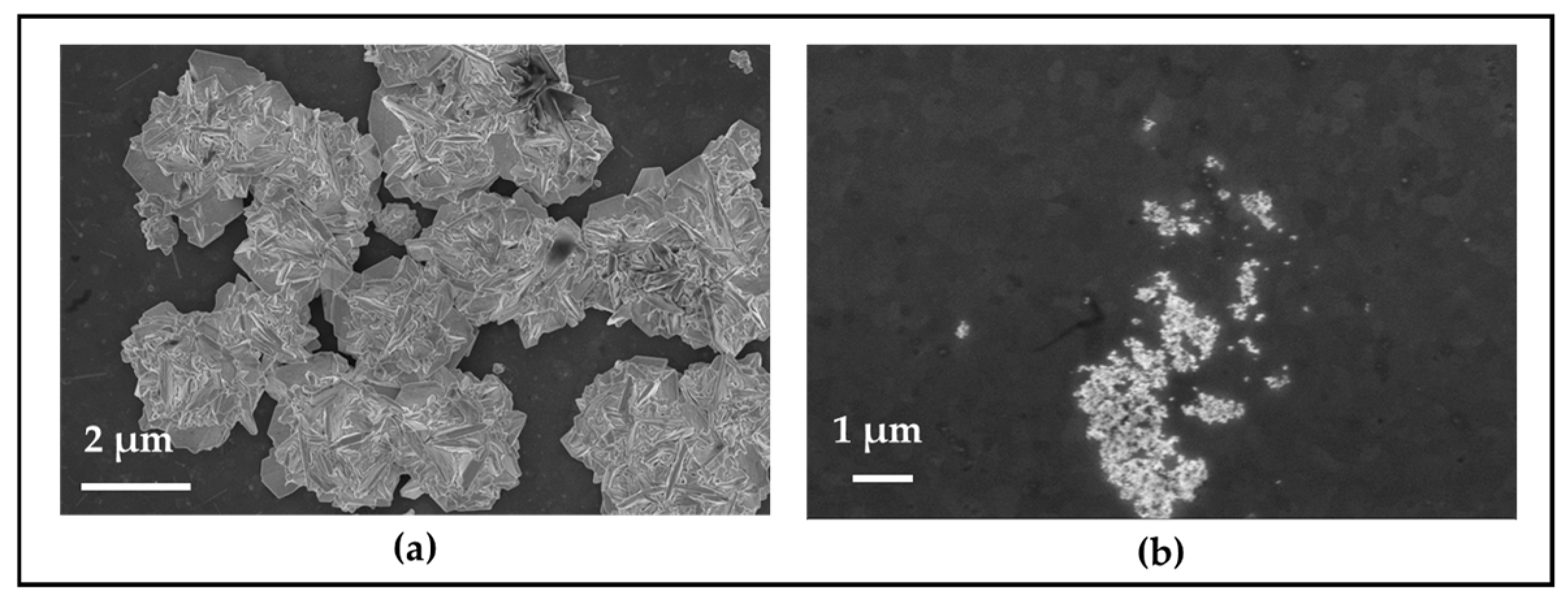 Molecules 30 00099 g005