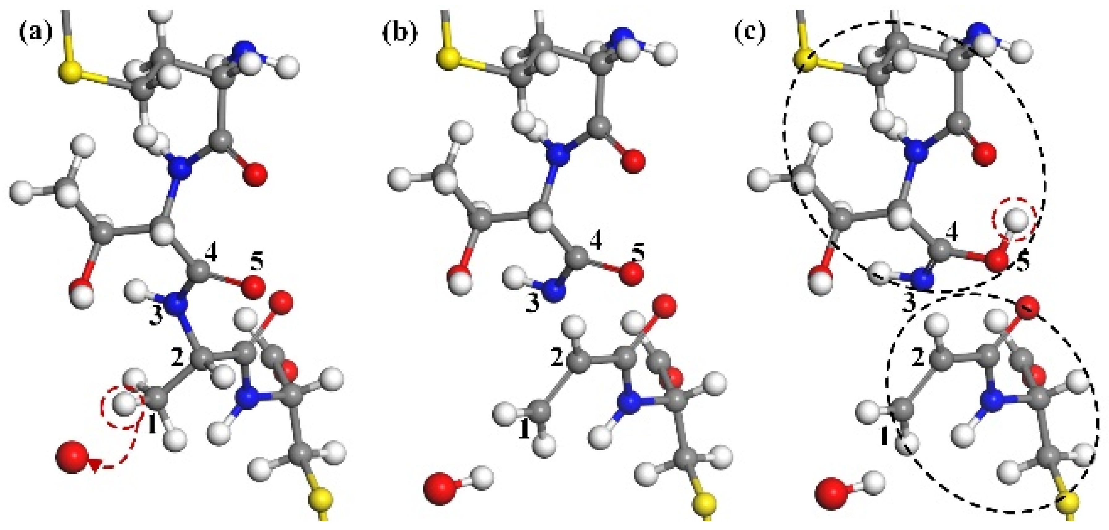 Molecules 30 00101 g004