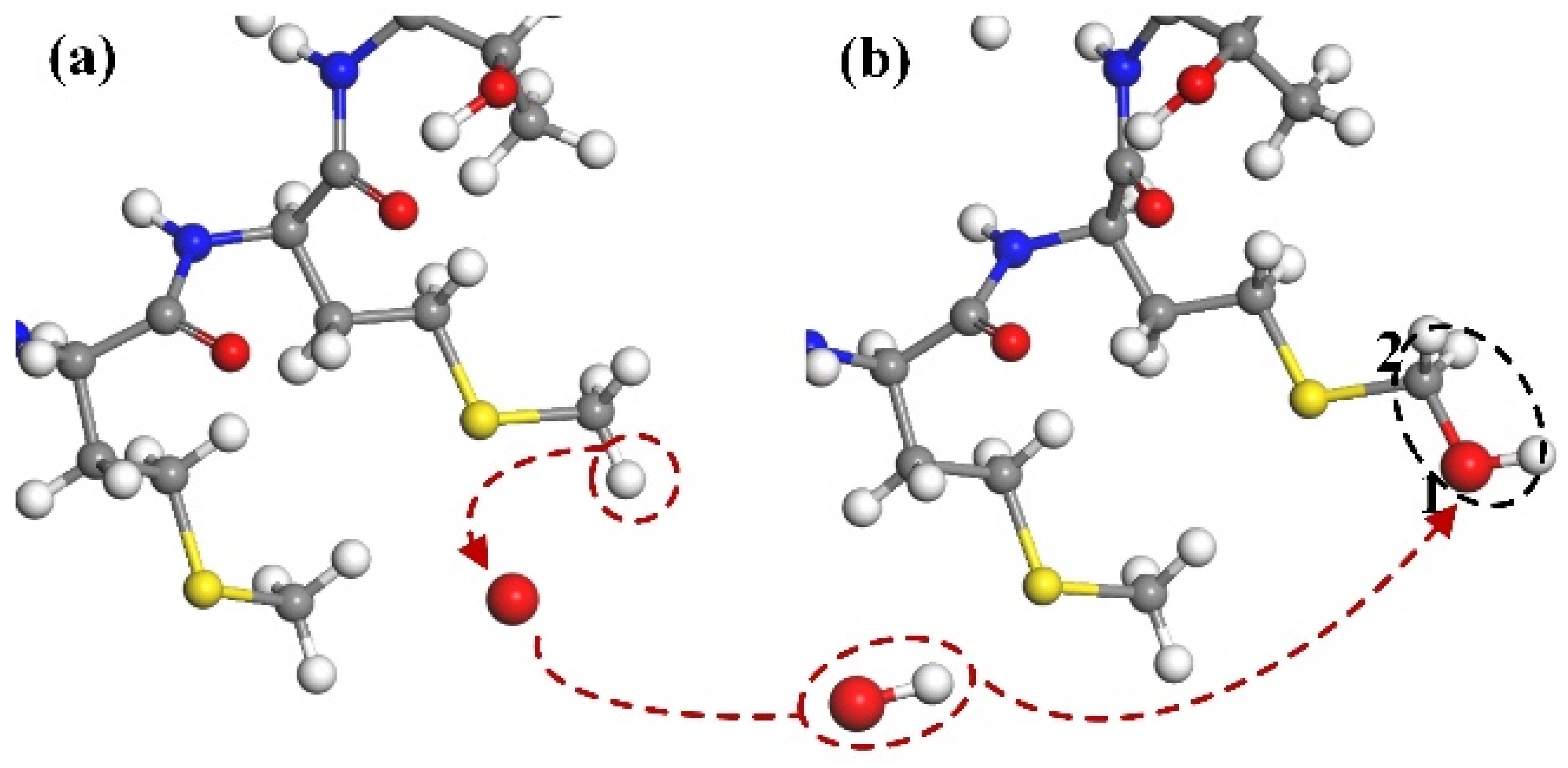 Molecules 30 00101 g005