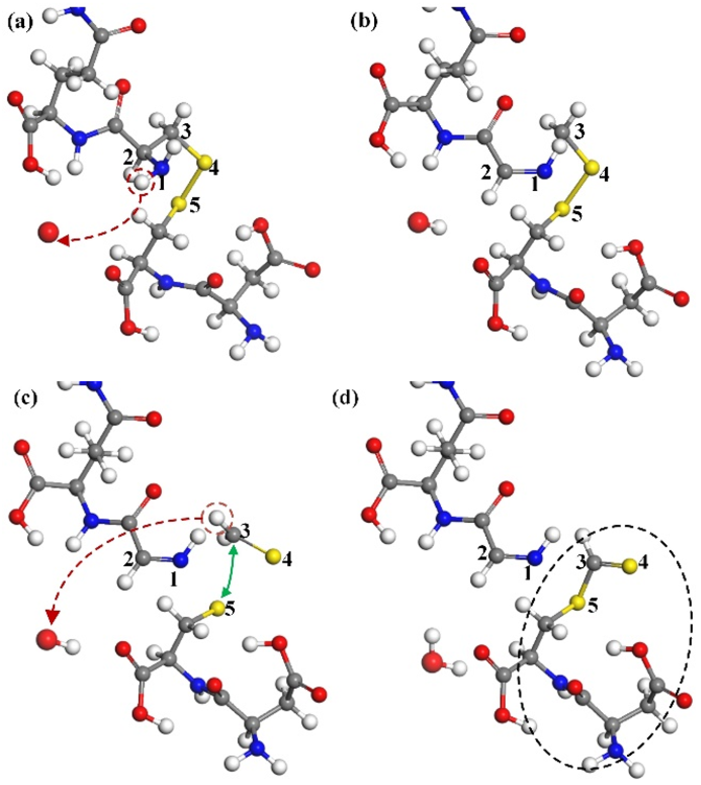 Molecules 30 00101 g007