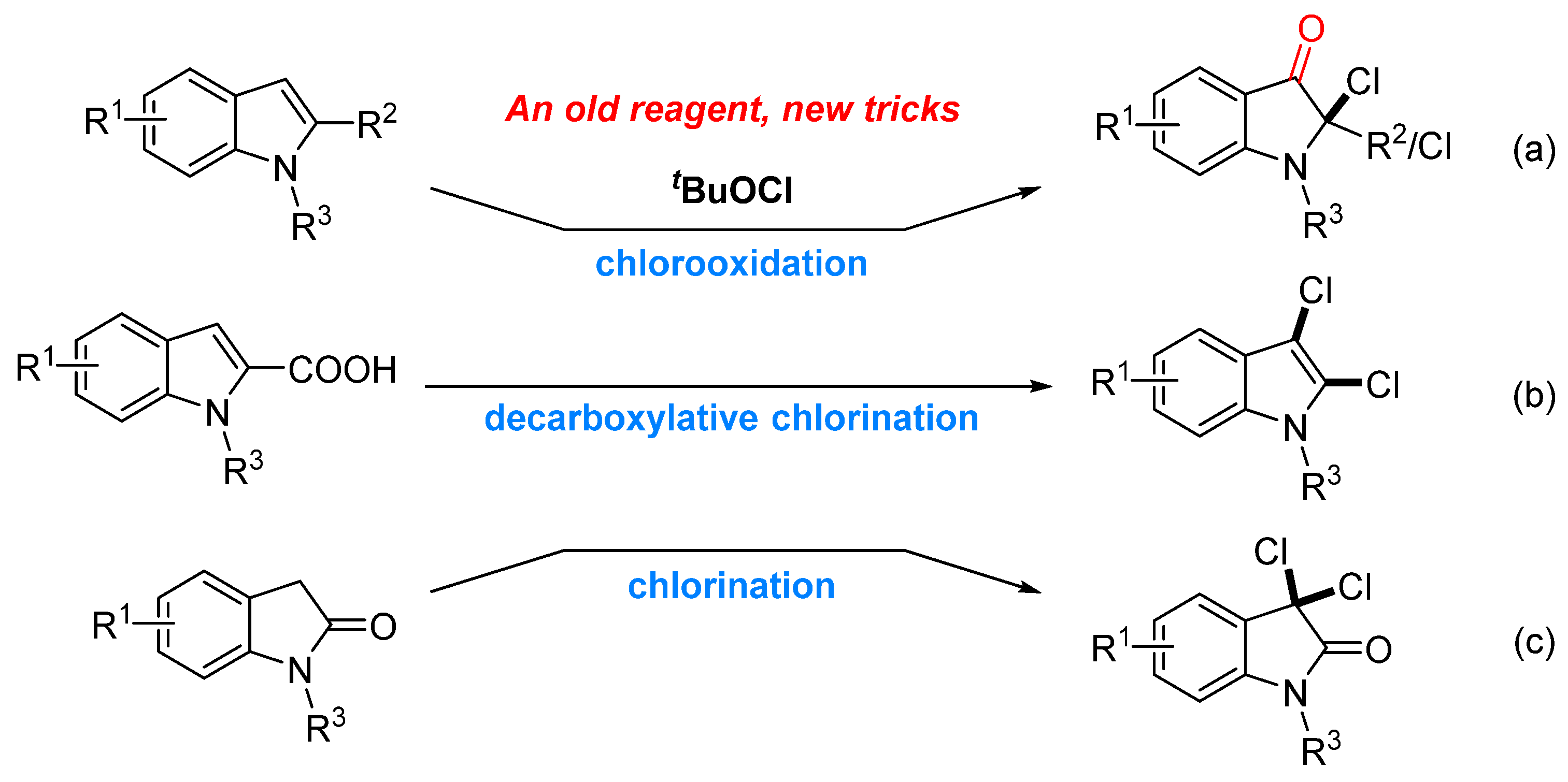 Molecules 30 00102 sch002