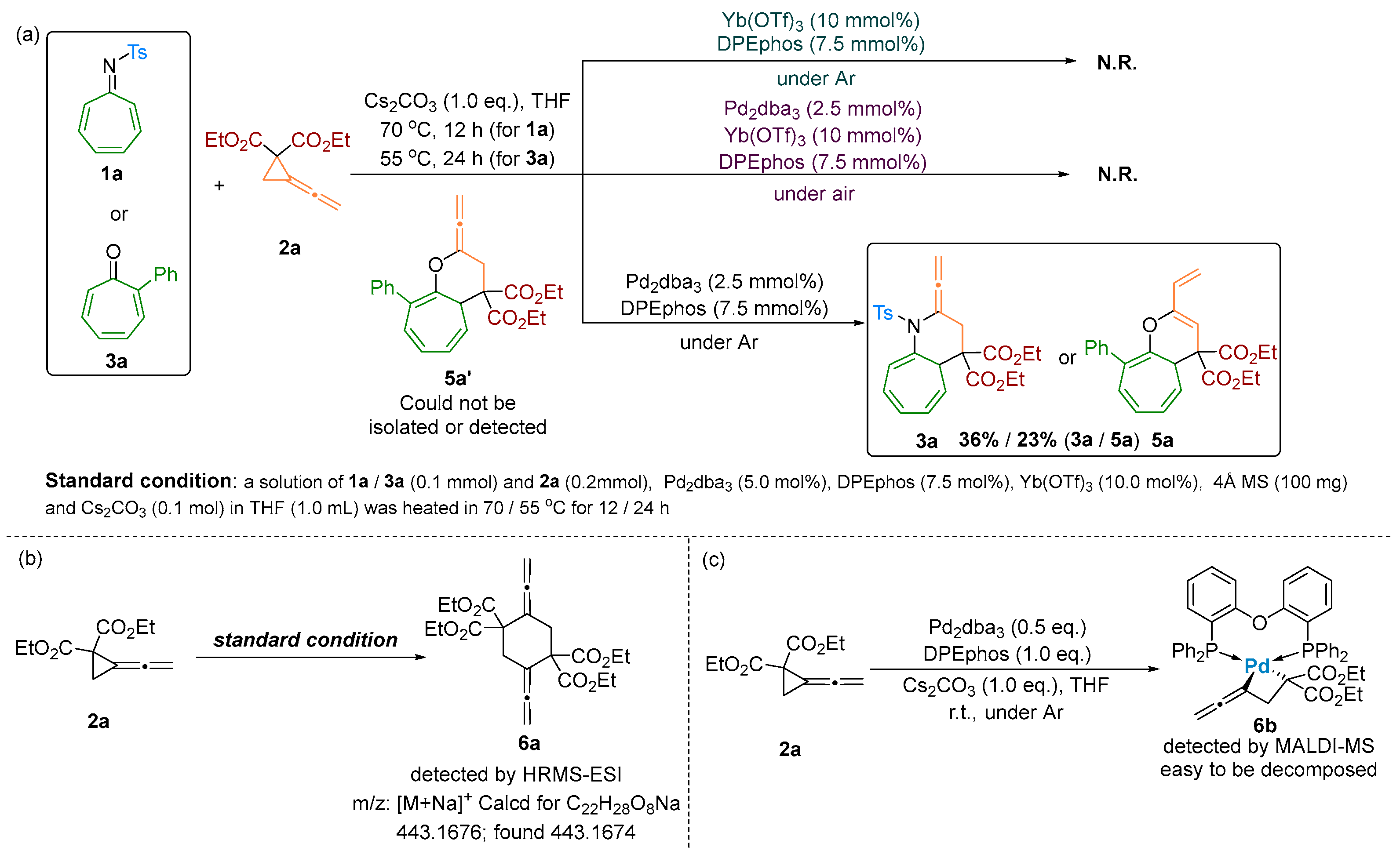 Molecules 30 00103 sch002
