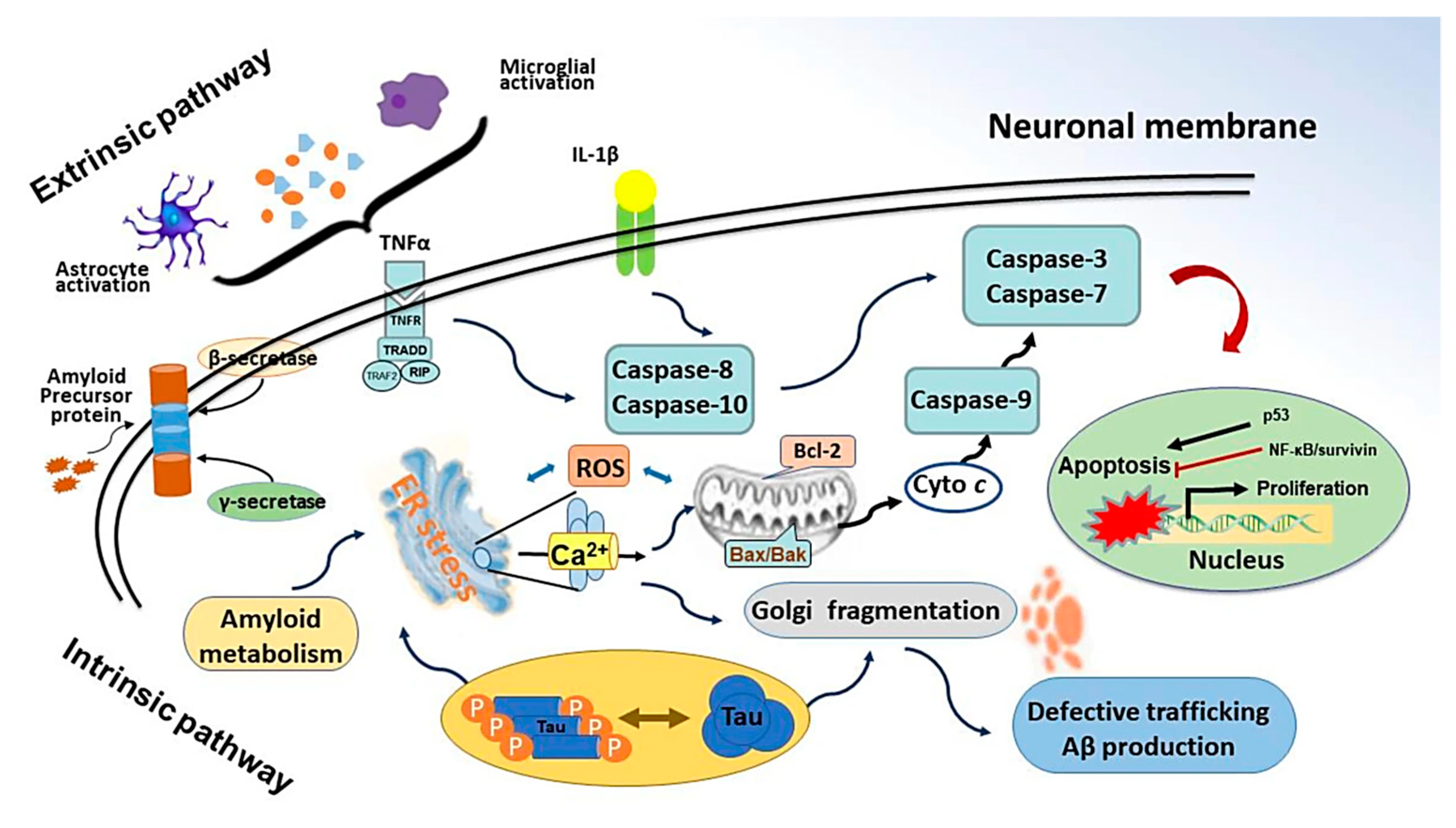 Molecules 30 00104 g004