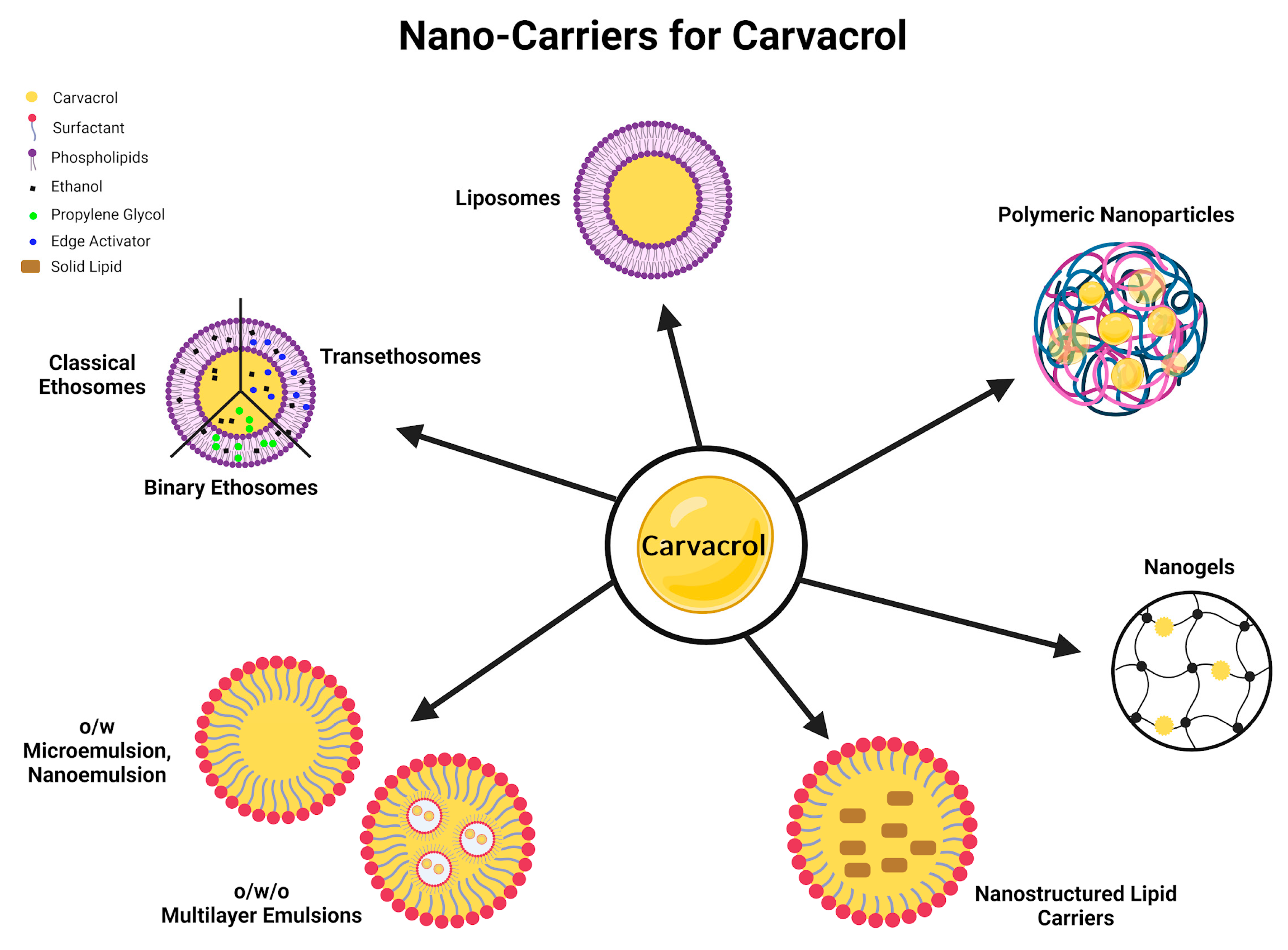 Molecules 30 00104 g005