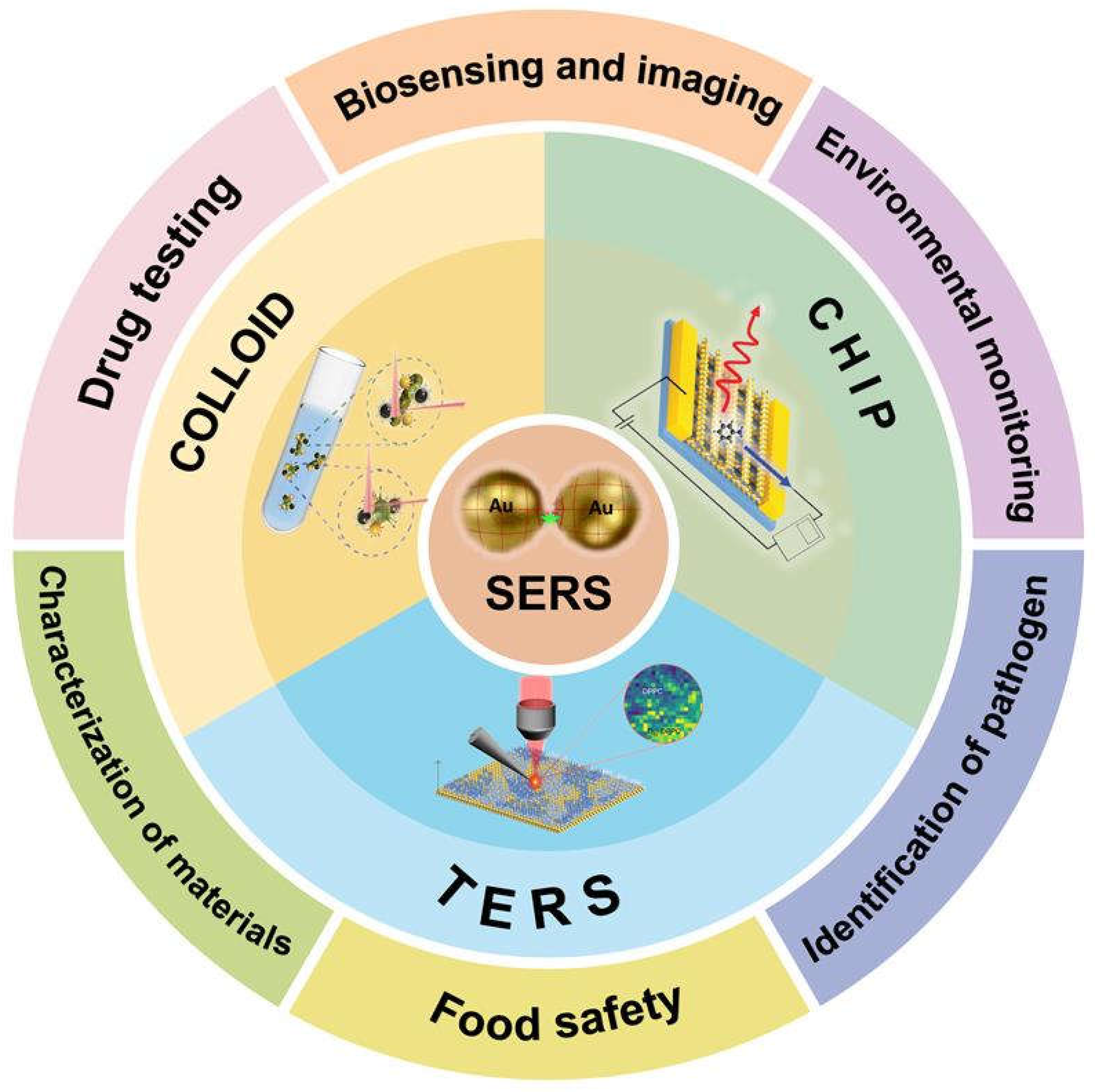 Molecules 30 00105 g002