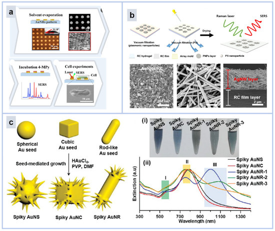 SERS-Based Local Field Enhancement in Biosensing Applications