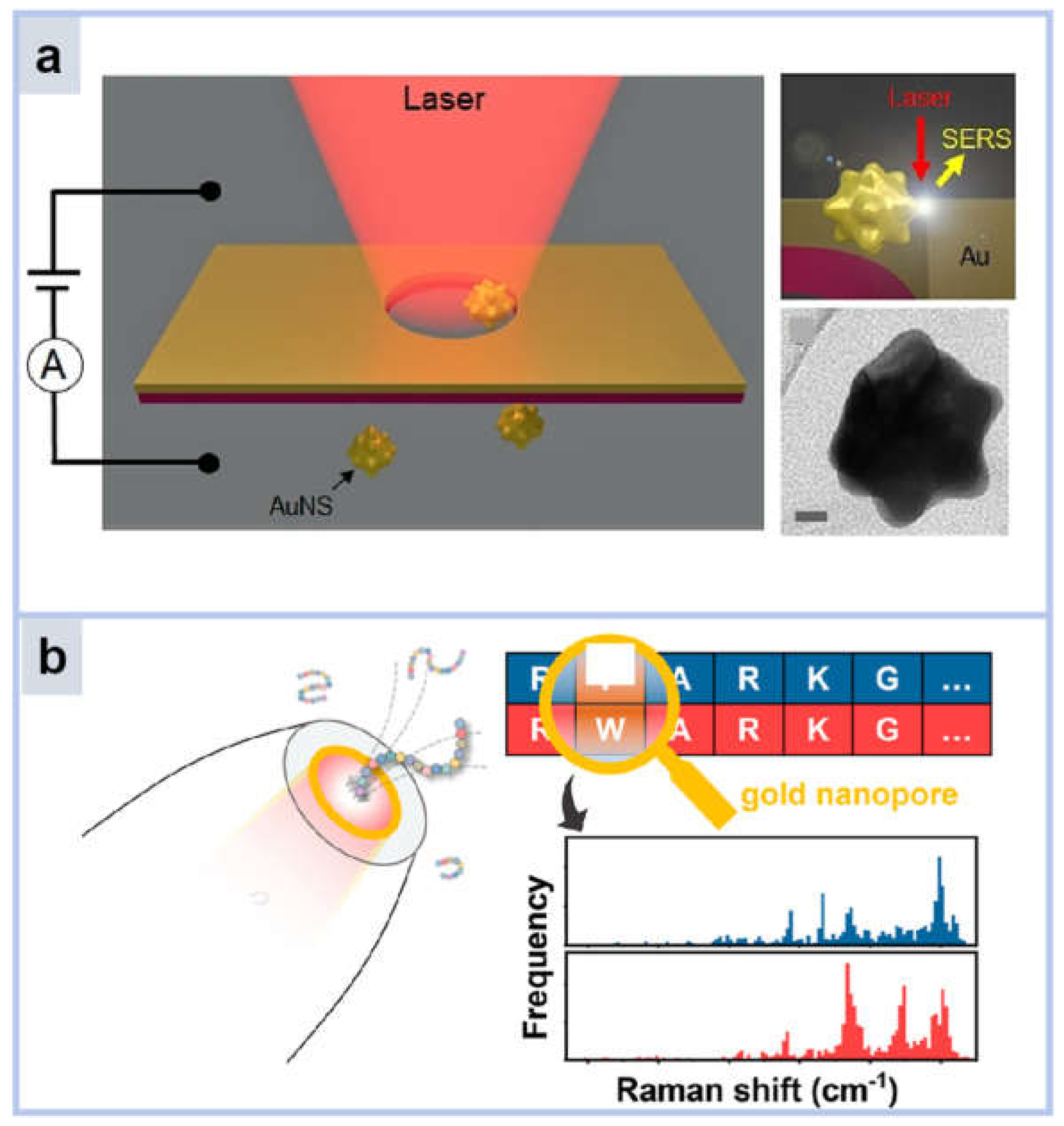 Molecules 30 00105 g004