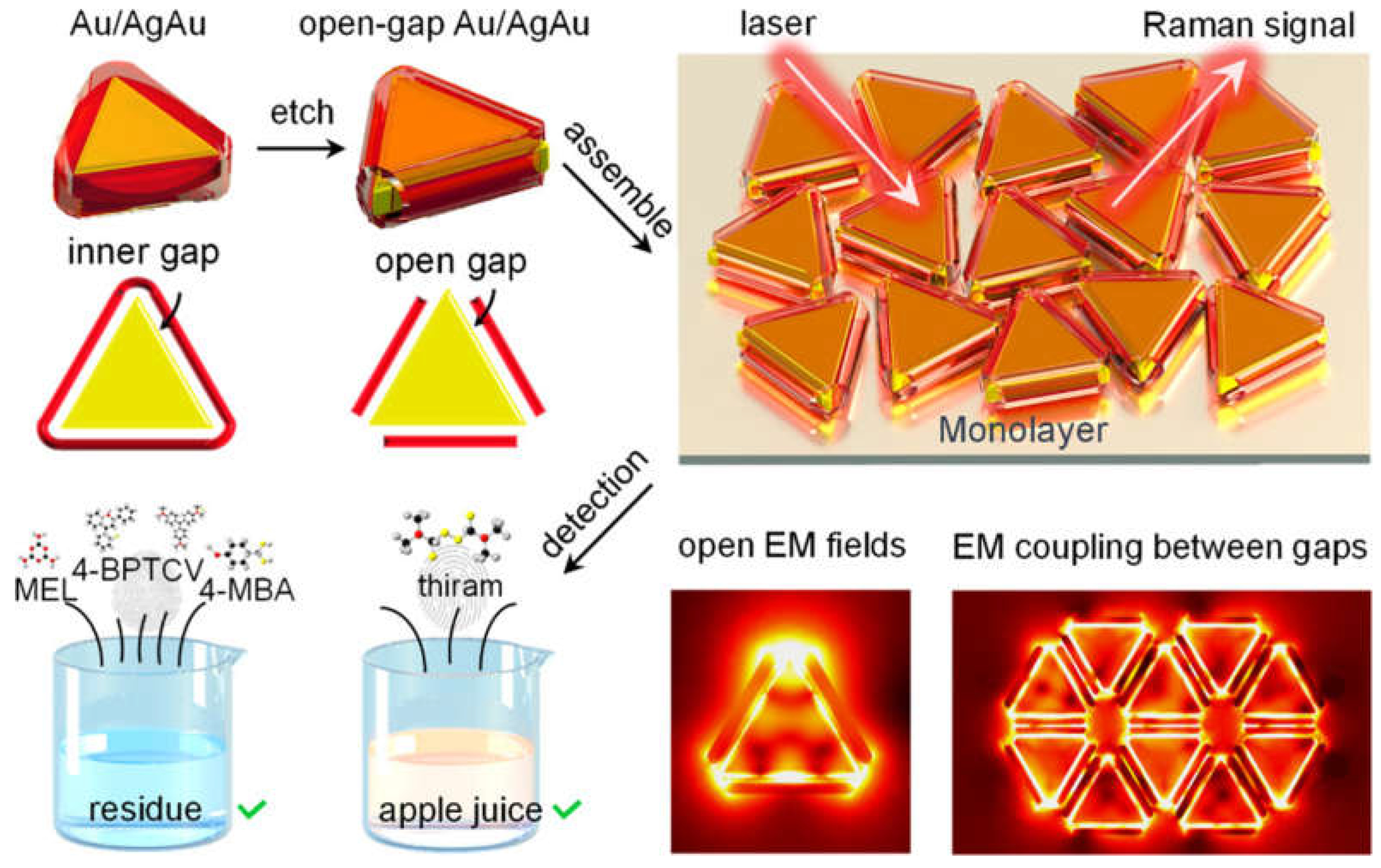 Molecules 30 00105 g007
