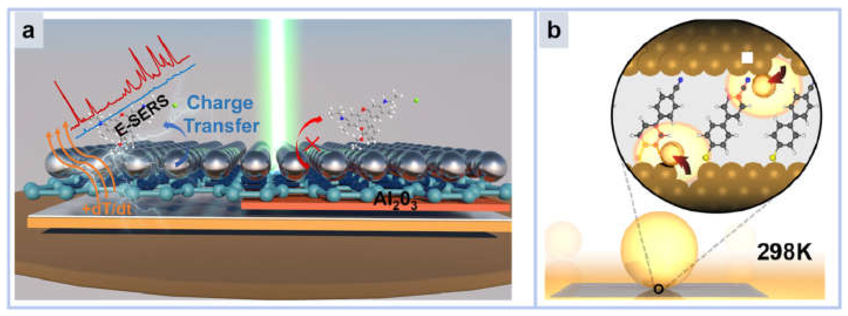 Molecules 30 00105 g010