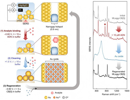 SERS-Based Local Field Enhancement in Biosensing Applications