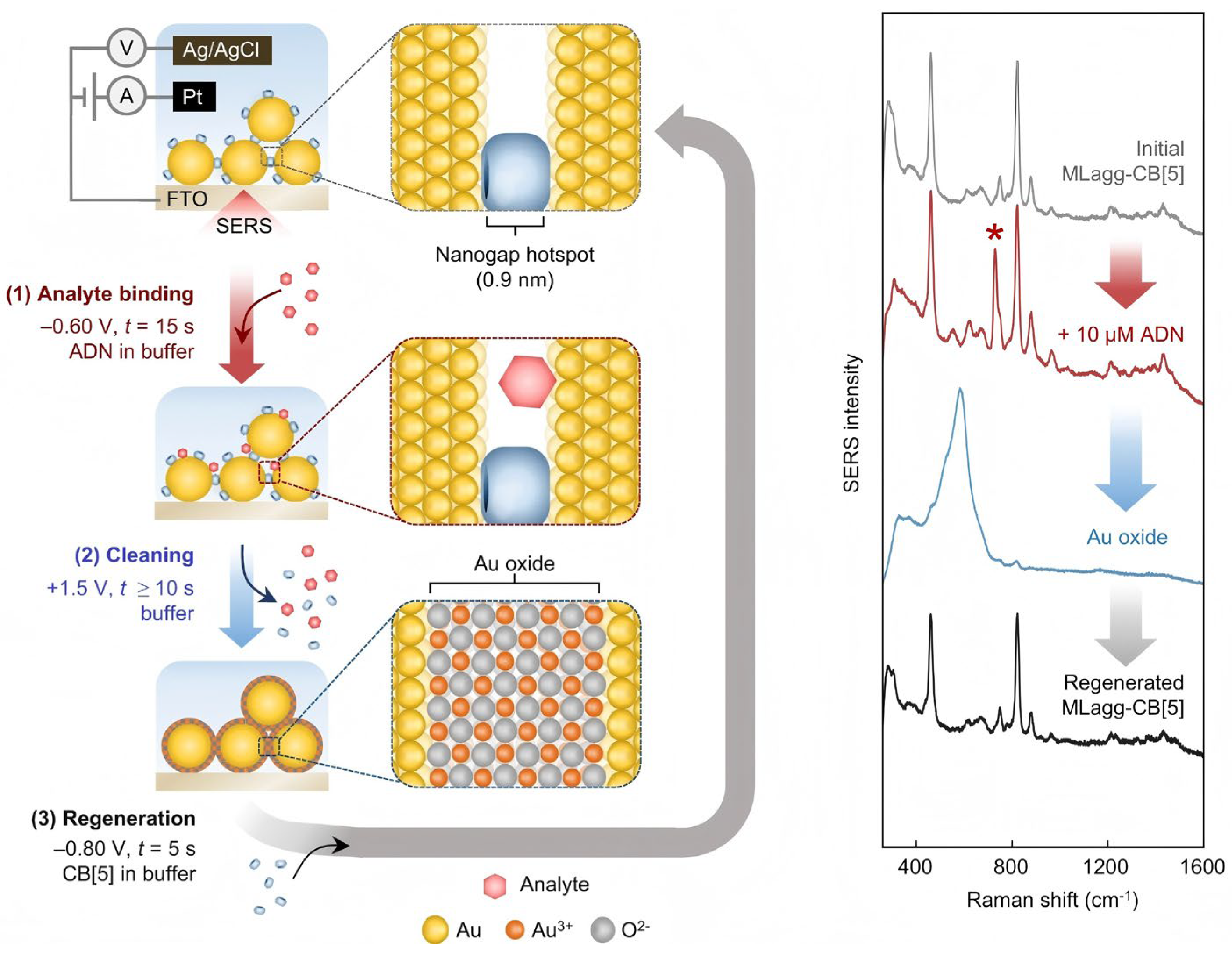Molecules 30 00105 g011