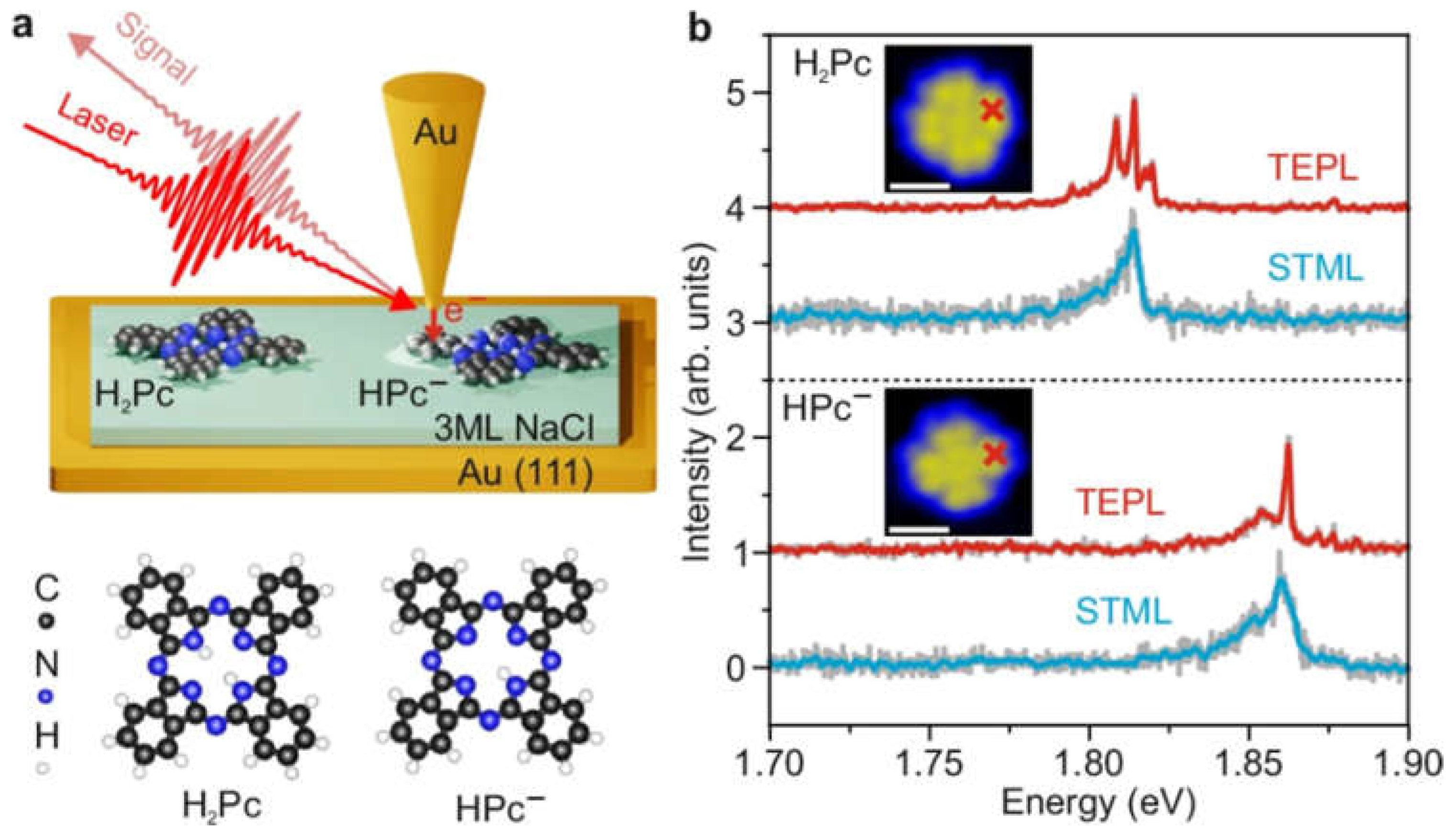 Molecules 30 00105 g015