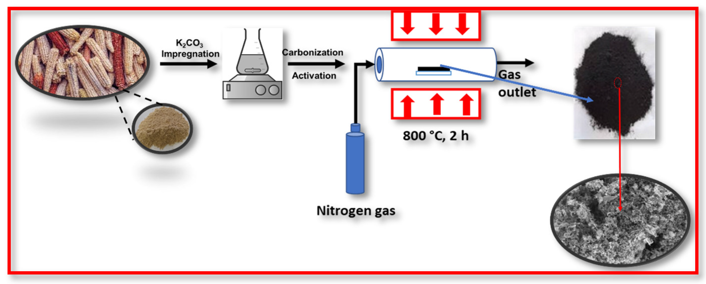 Molecules 30 00110 g006