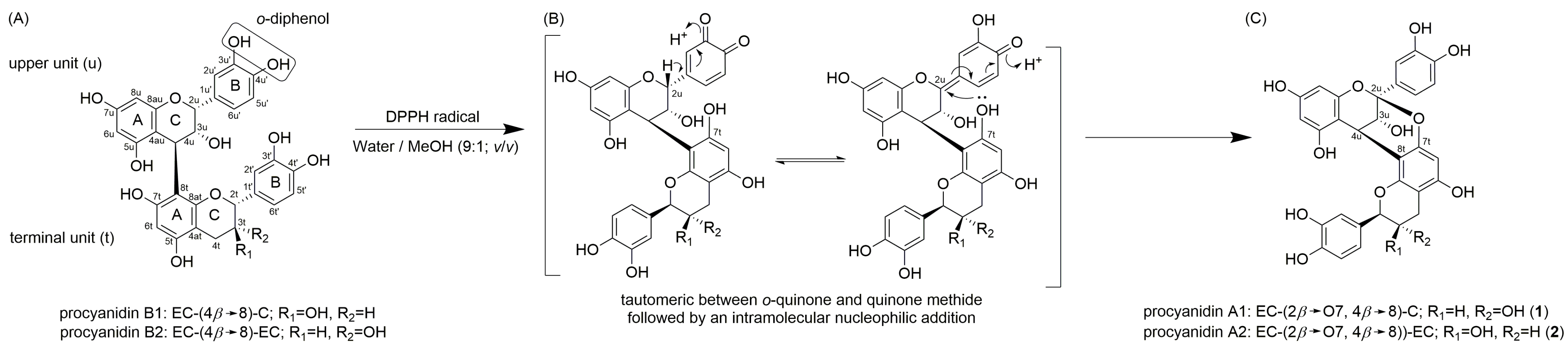 Molecules 30 00111 g001