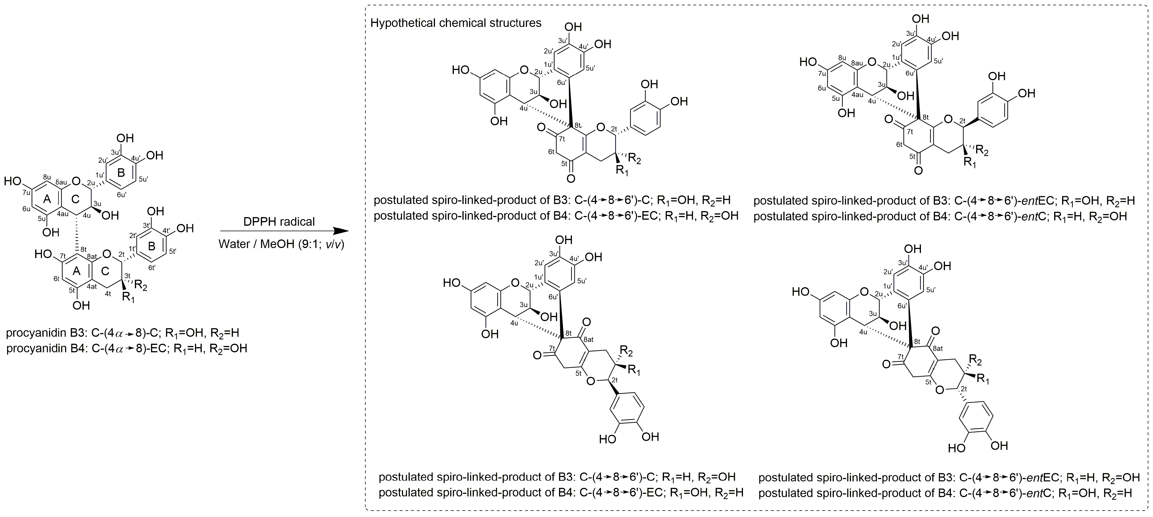 Molecules 30 00111 g003