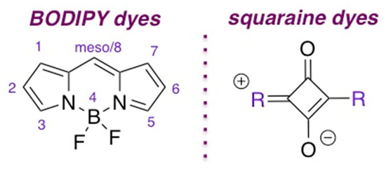 メーカー直売 - 人気ランキング Approaches Synthetic Toward and BODIPY Phosphorus-Containing 化学