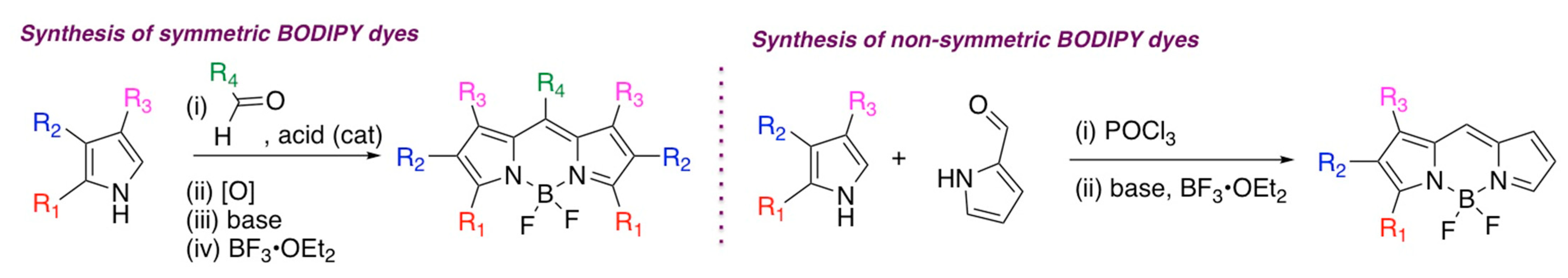 Molecules 30 00116 sch001