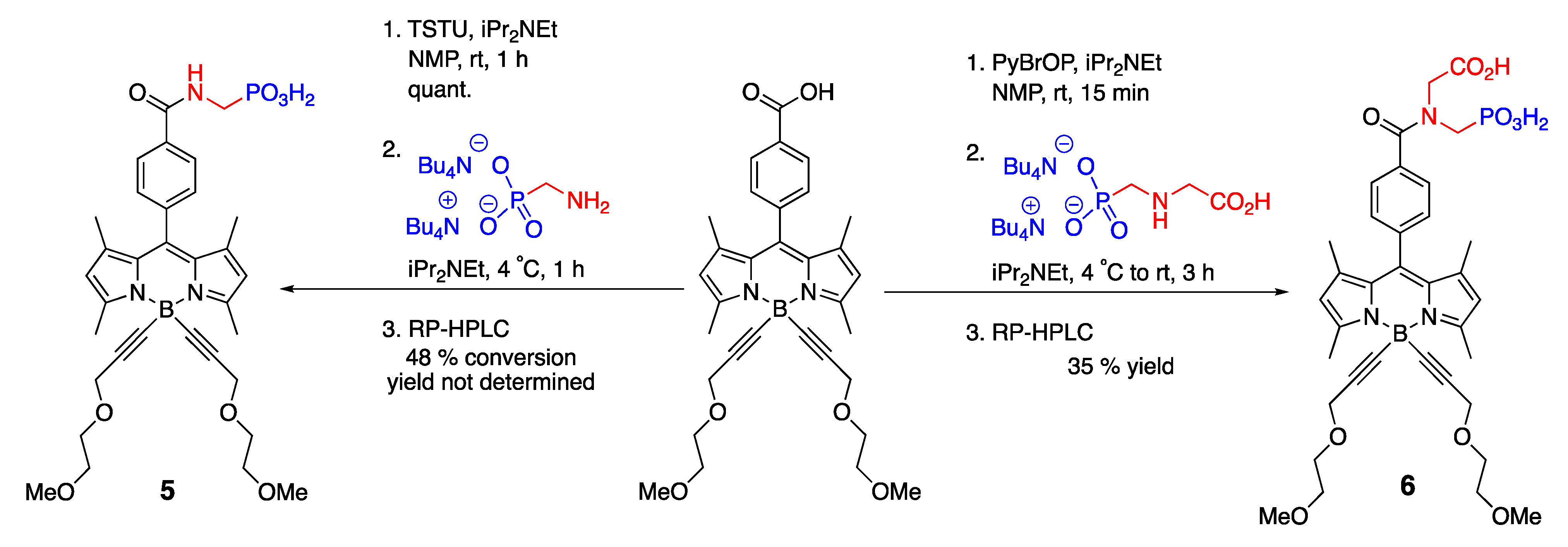 Molecules 30 00116 sch004