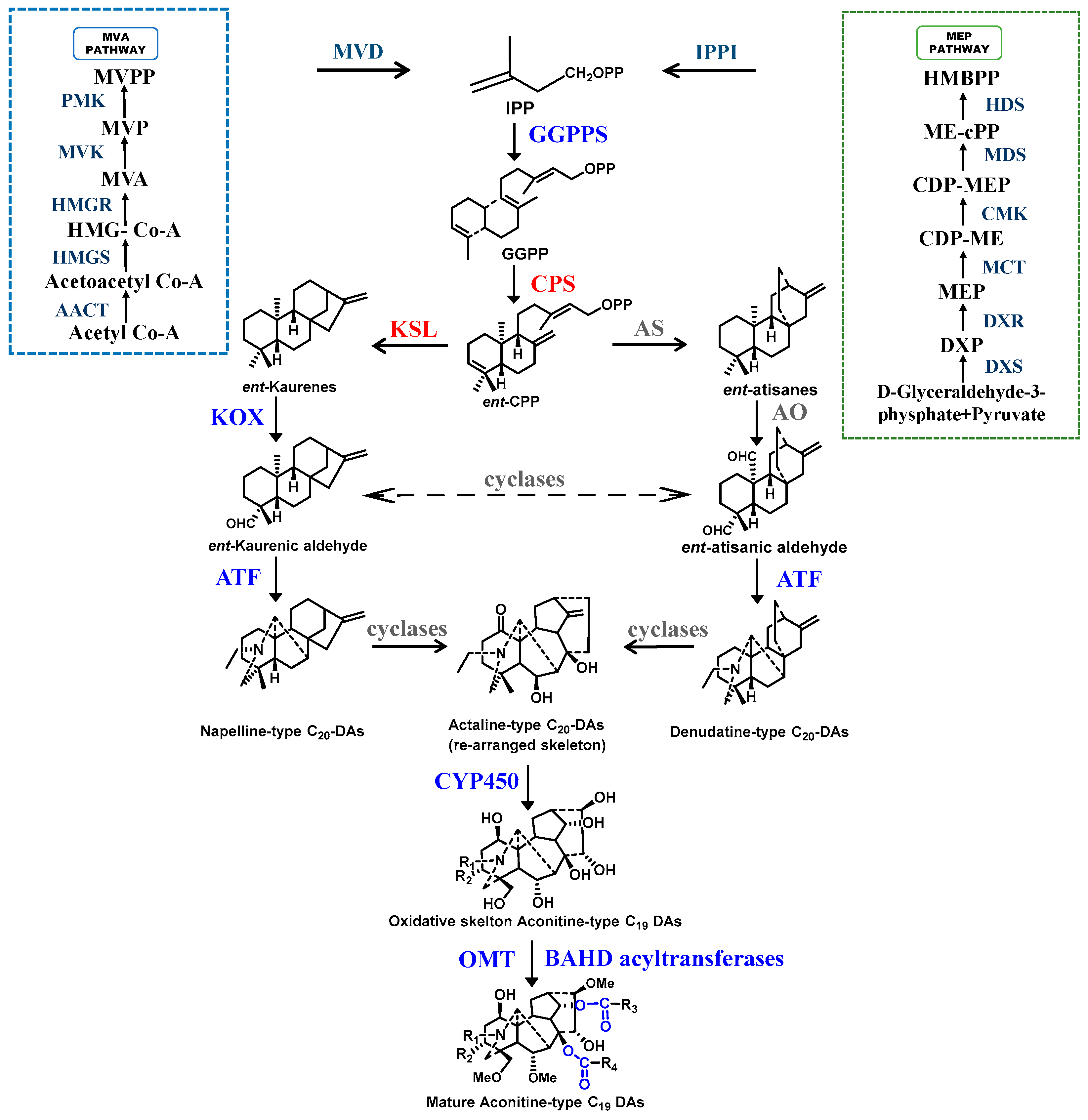 Molecules 30 00118 g002