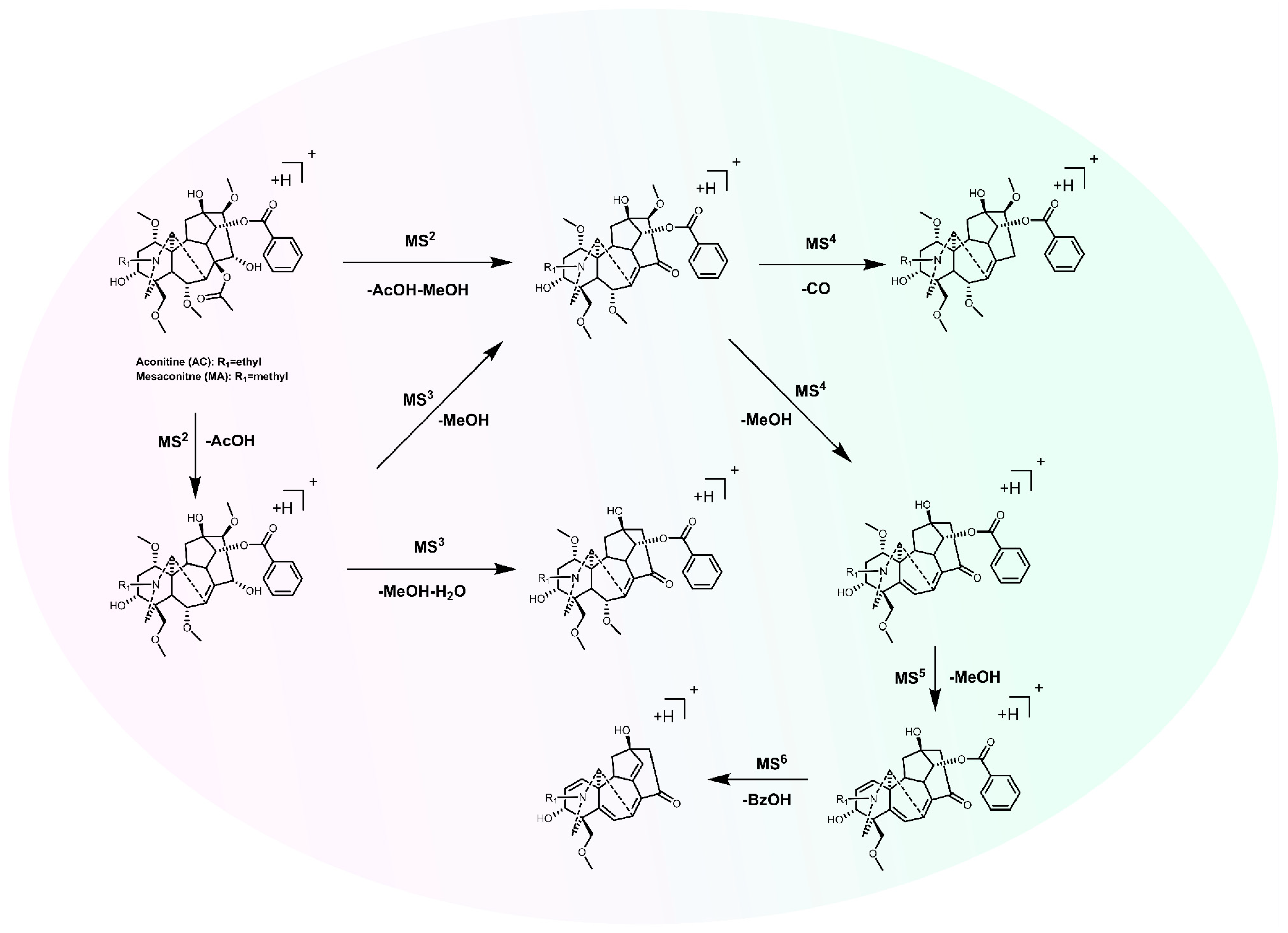 Molecules 30 00118 g004