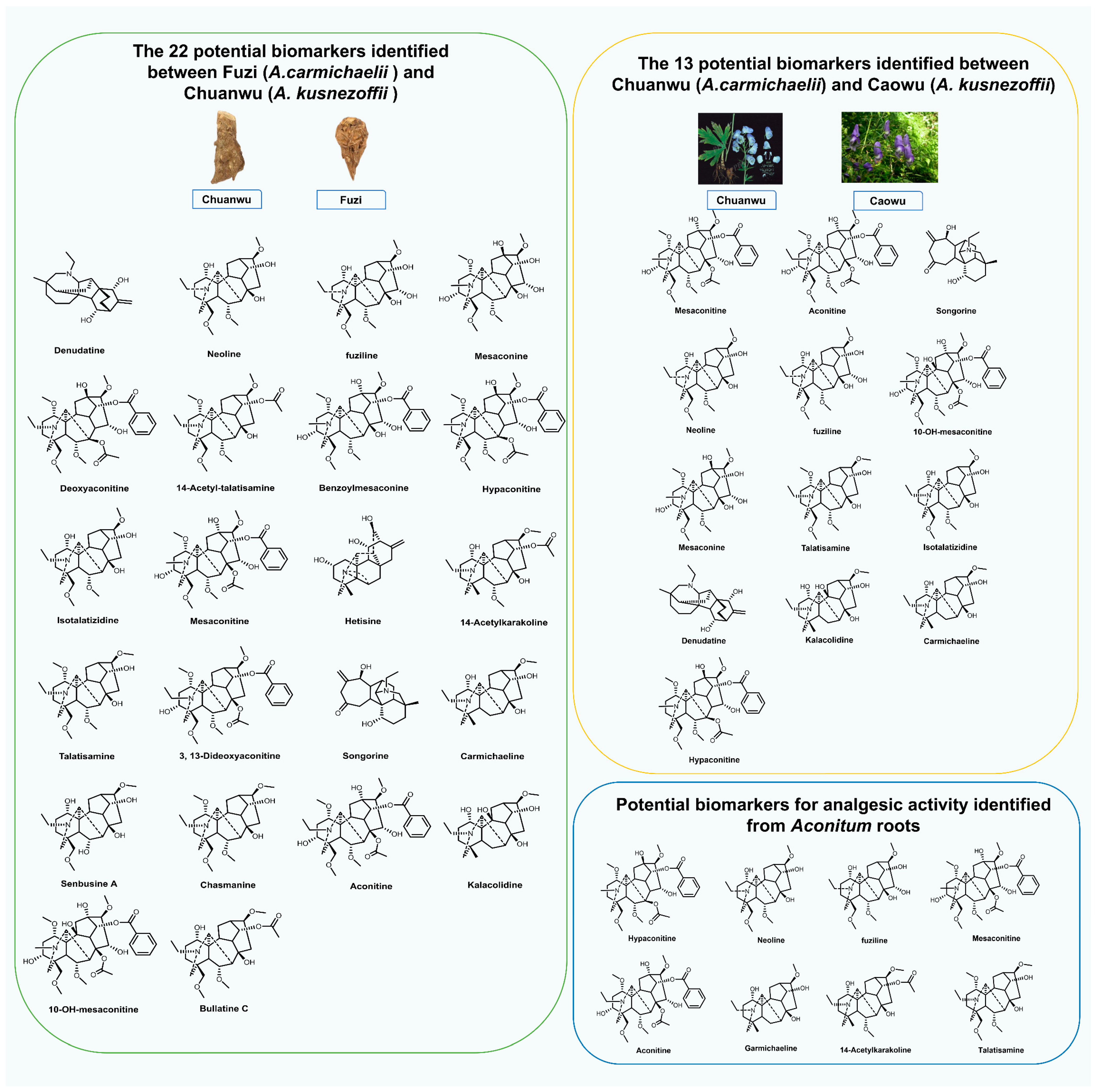 Molecules 30 00118 g005