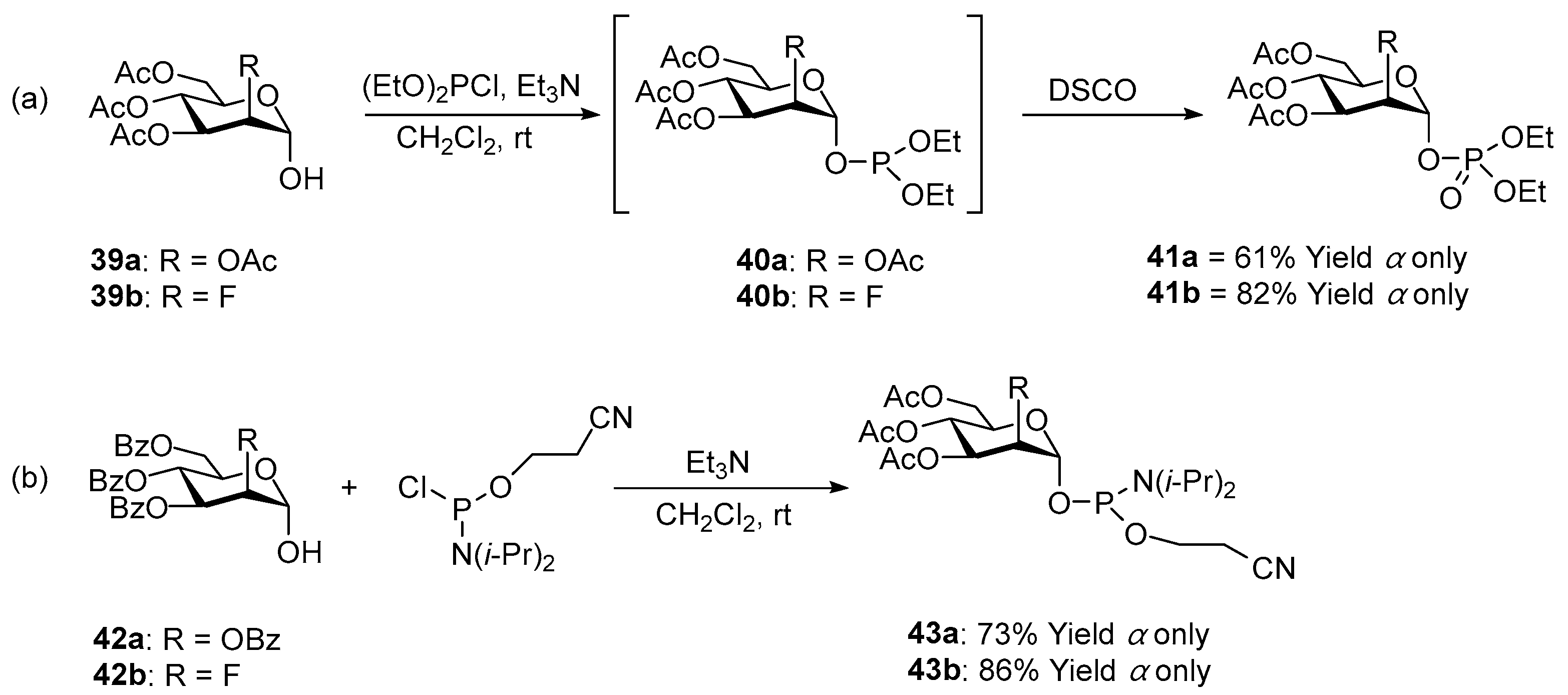 Molecules 30 00120 sch015
