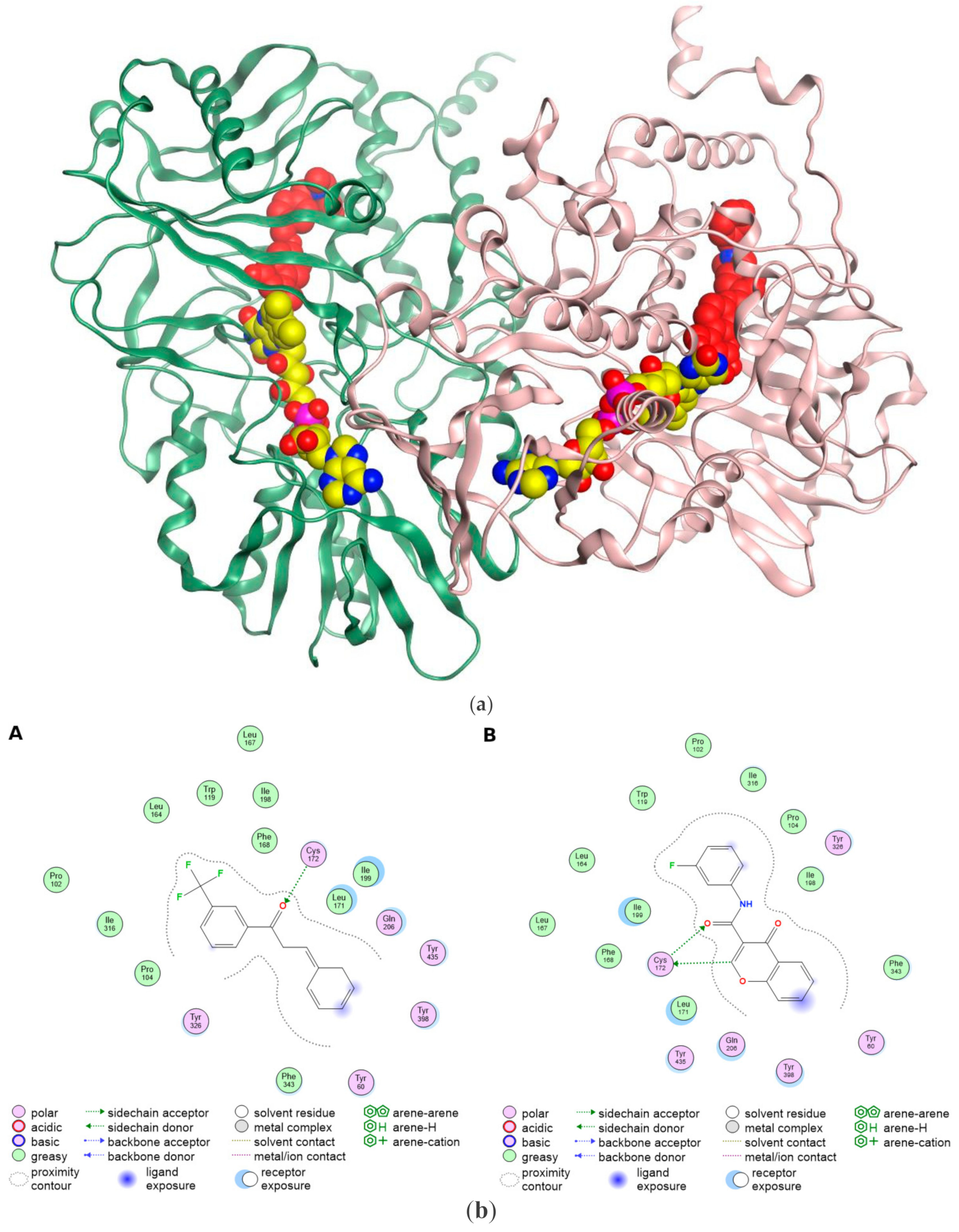 Molecules 30 00126 g003