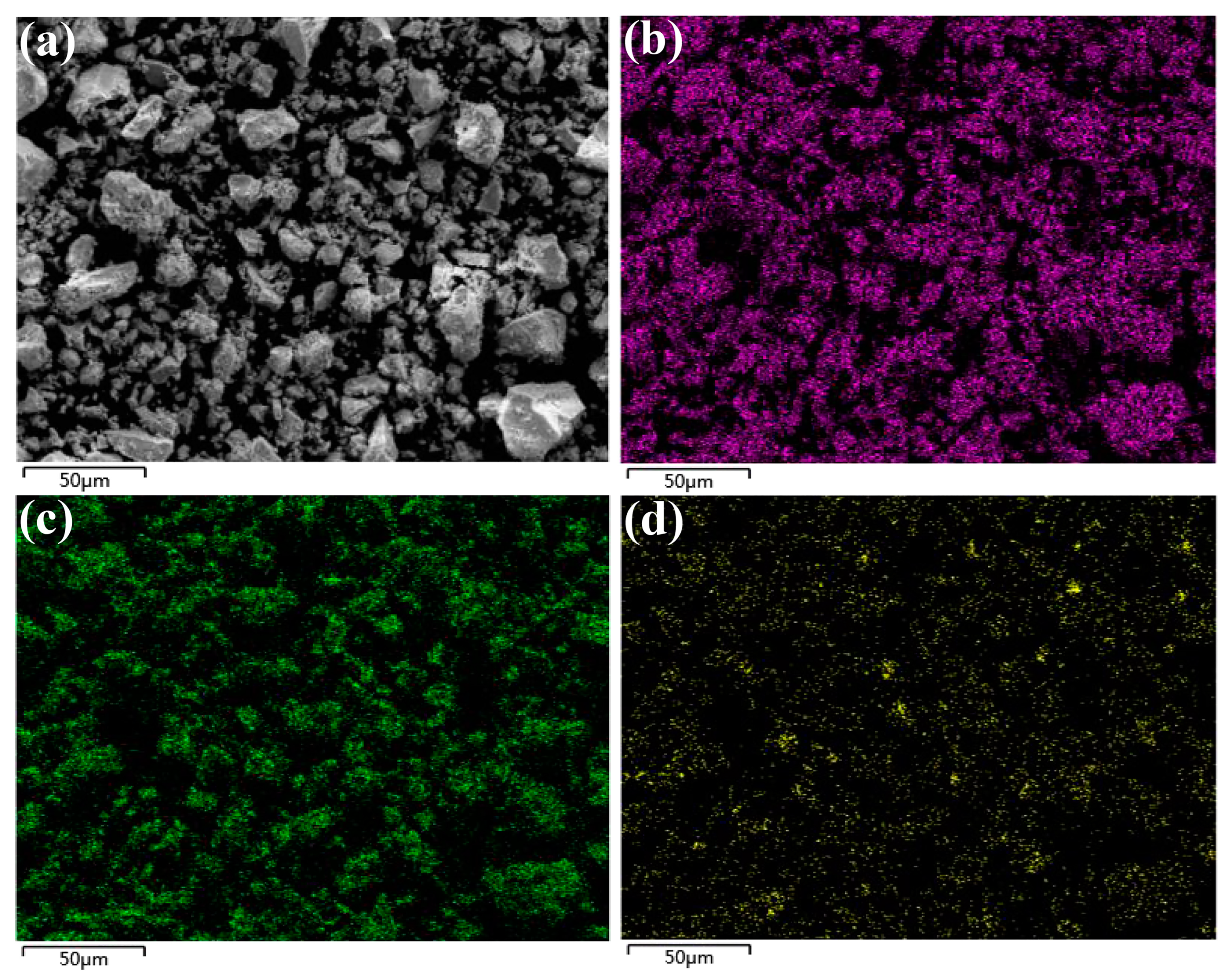 Molecules 30 00127 g003