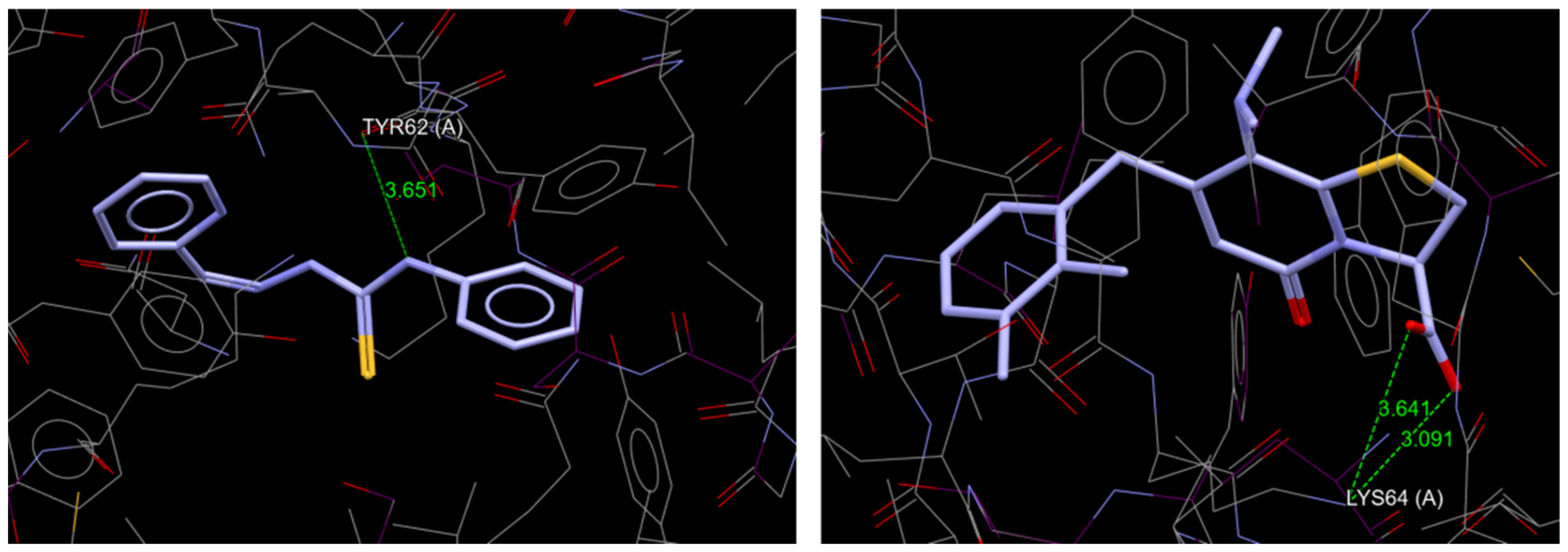 Molecules 30 00129 g004