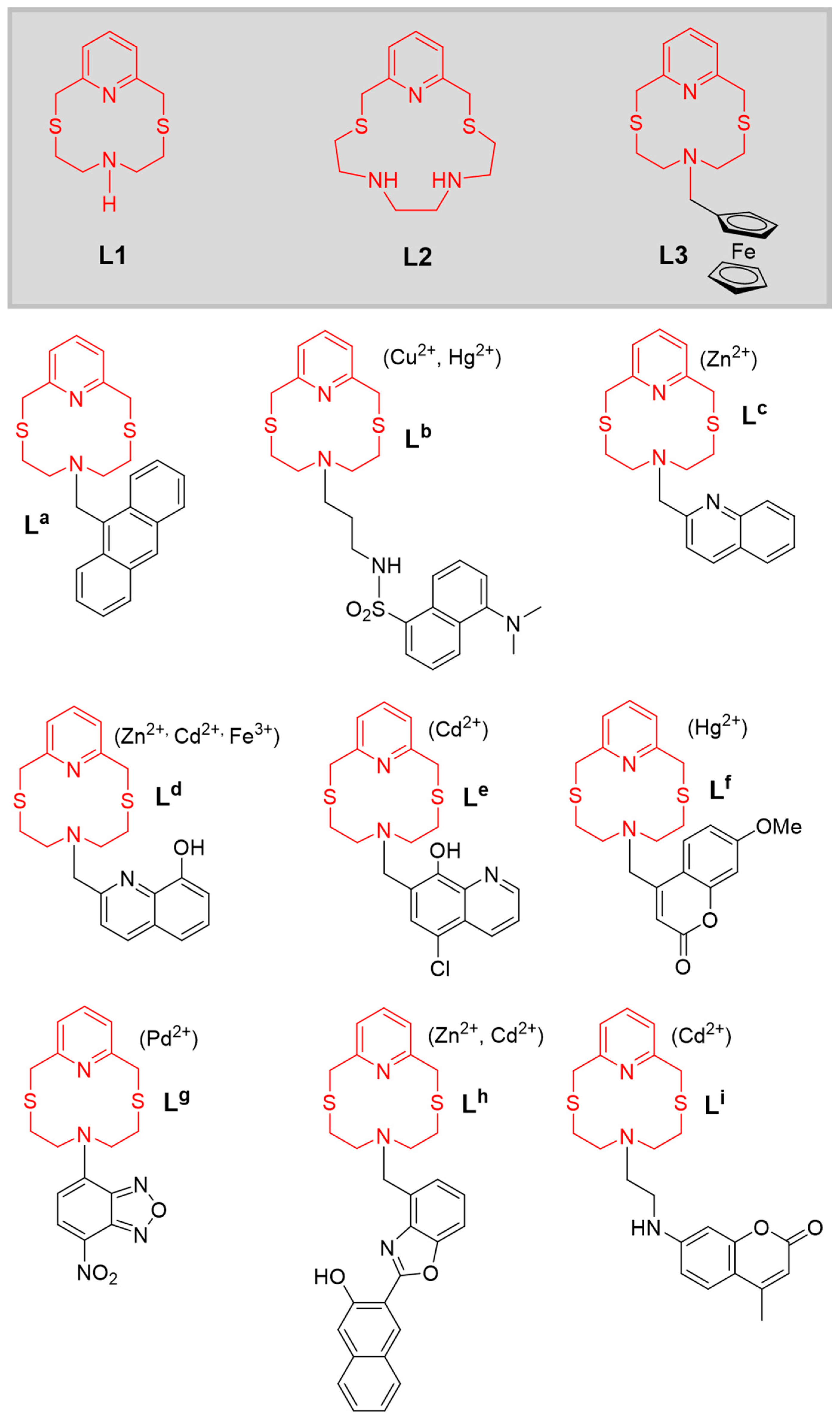 Molecules 30 00130 g001