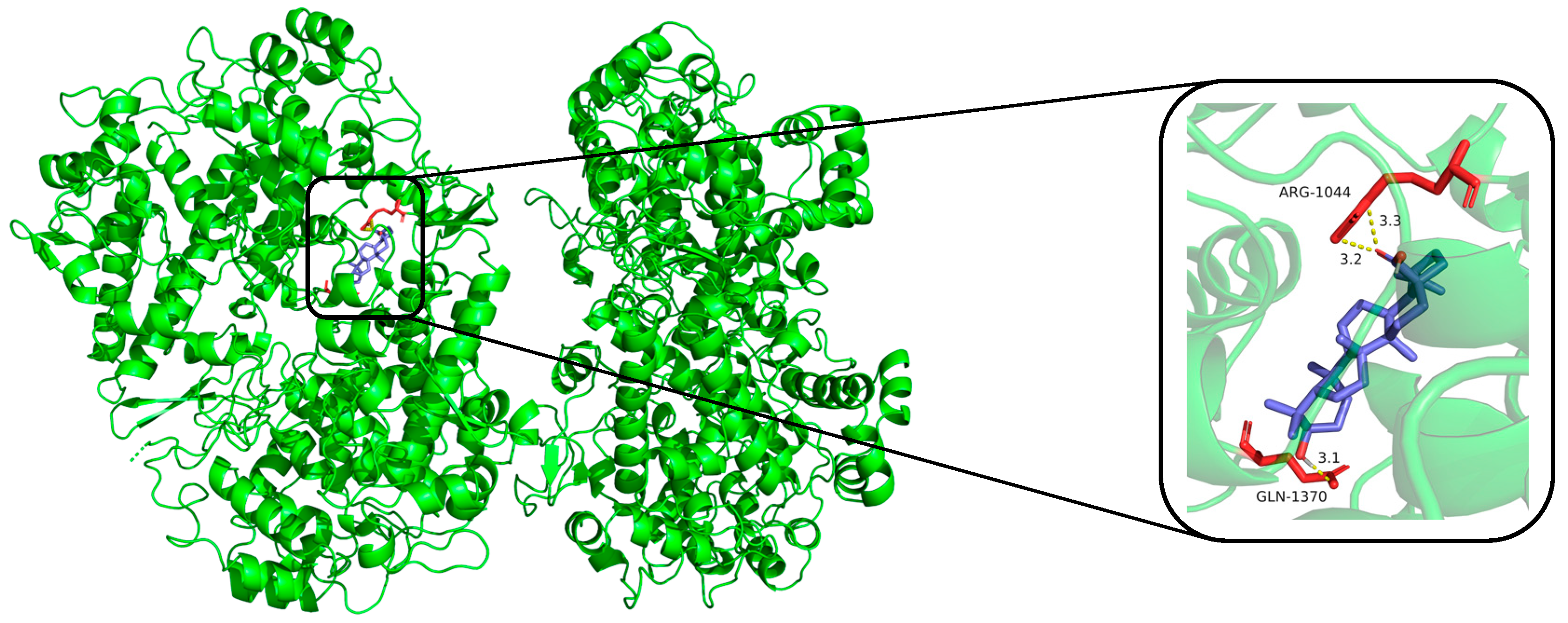 Molecules 30 00131 g005